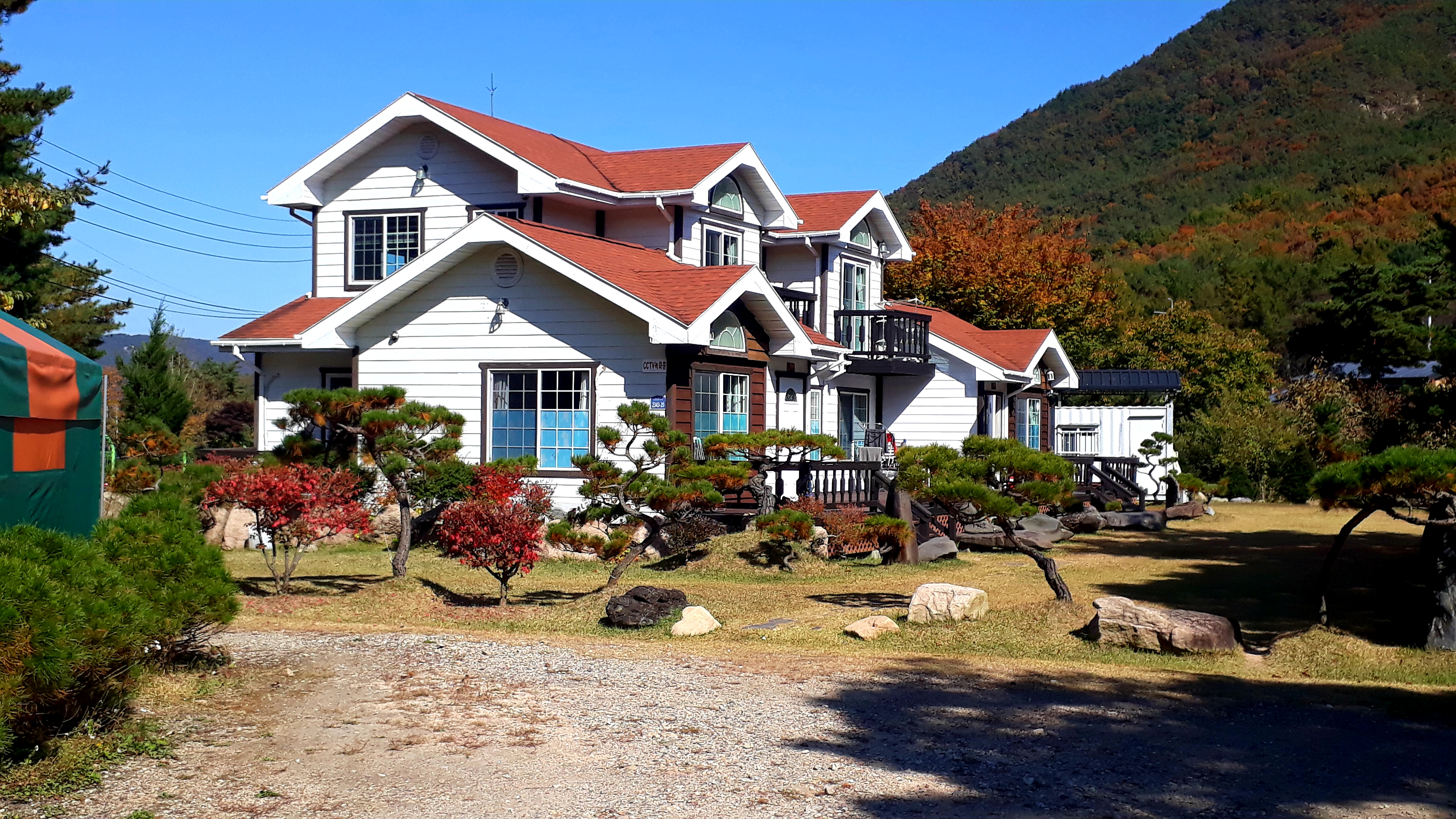 속리산산골짝펜션 반려동물 동반 애견카페