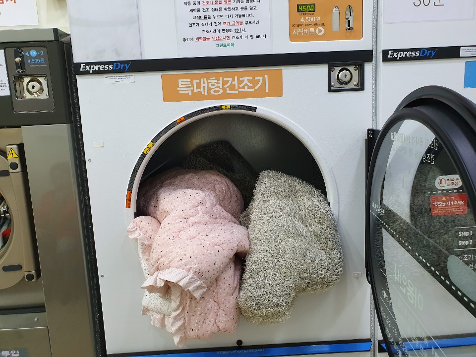 크린토피아 코인워시 홈플러스EX역곡점