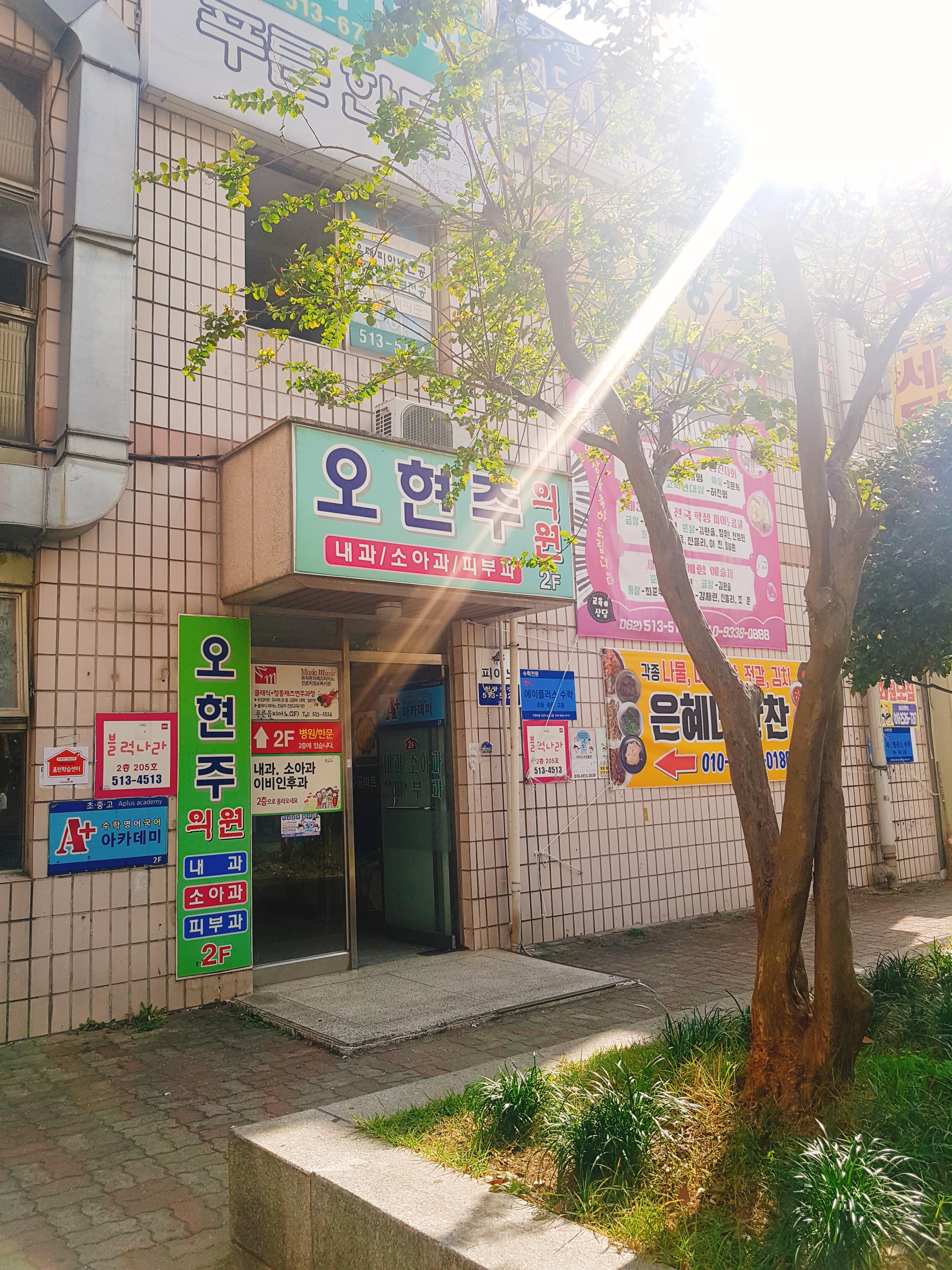 오현주의원 대표 이미지