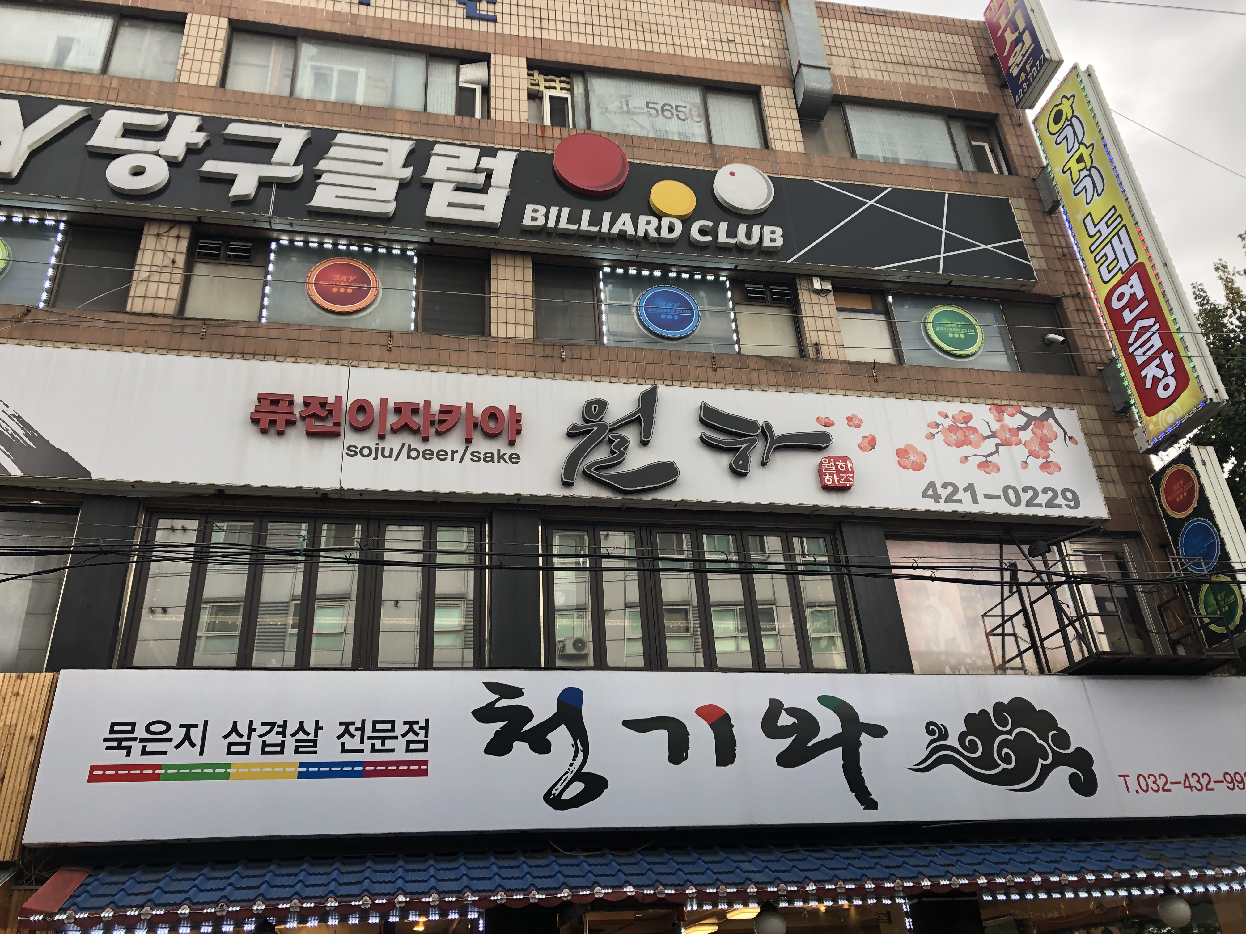 월하