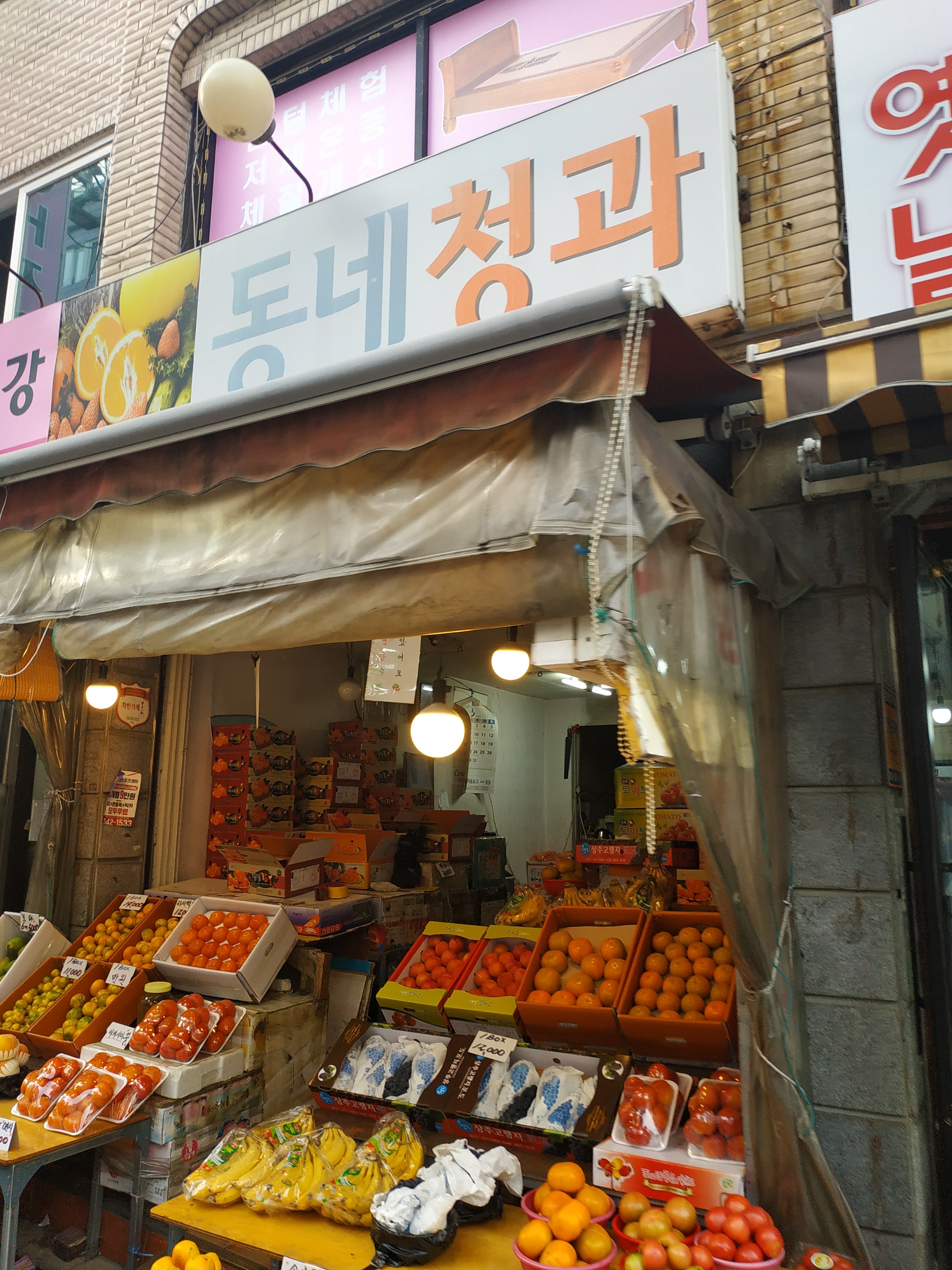 동네청과