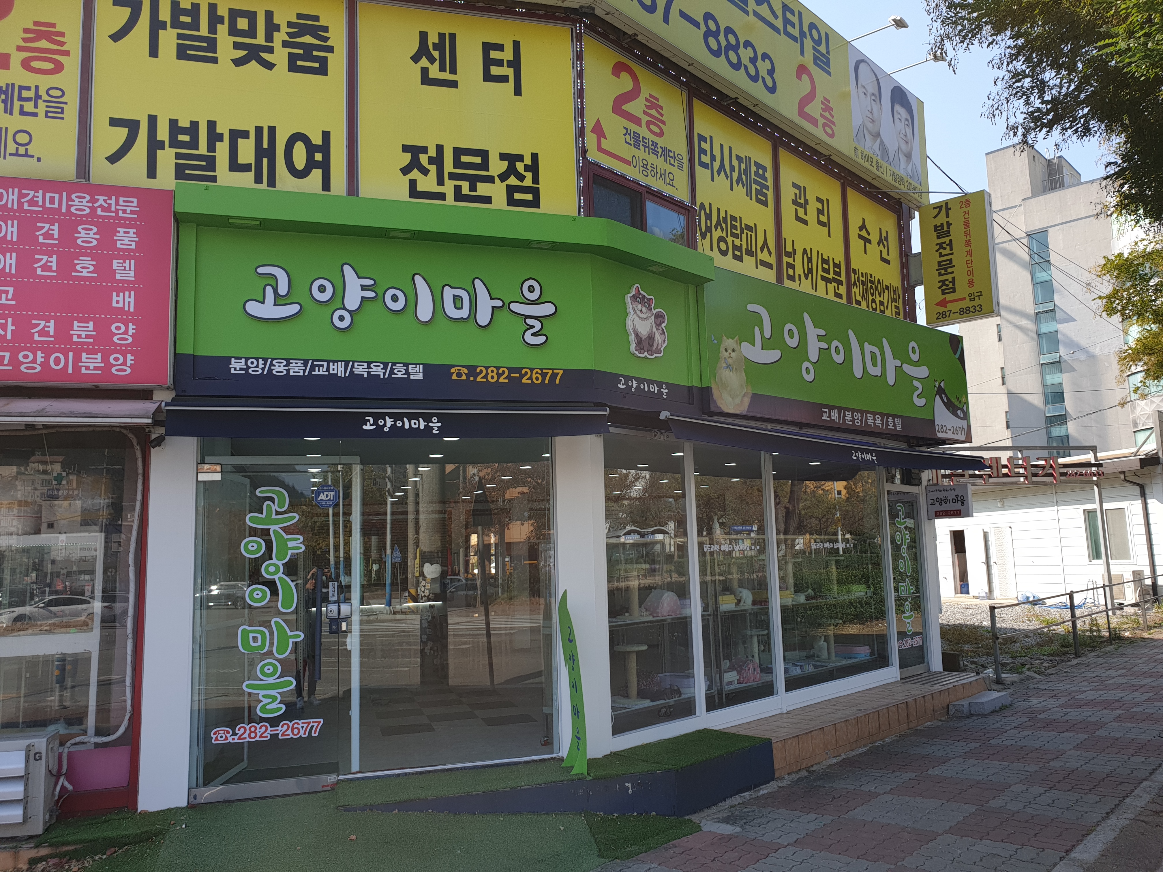 고양이마을 대표 이미지