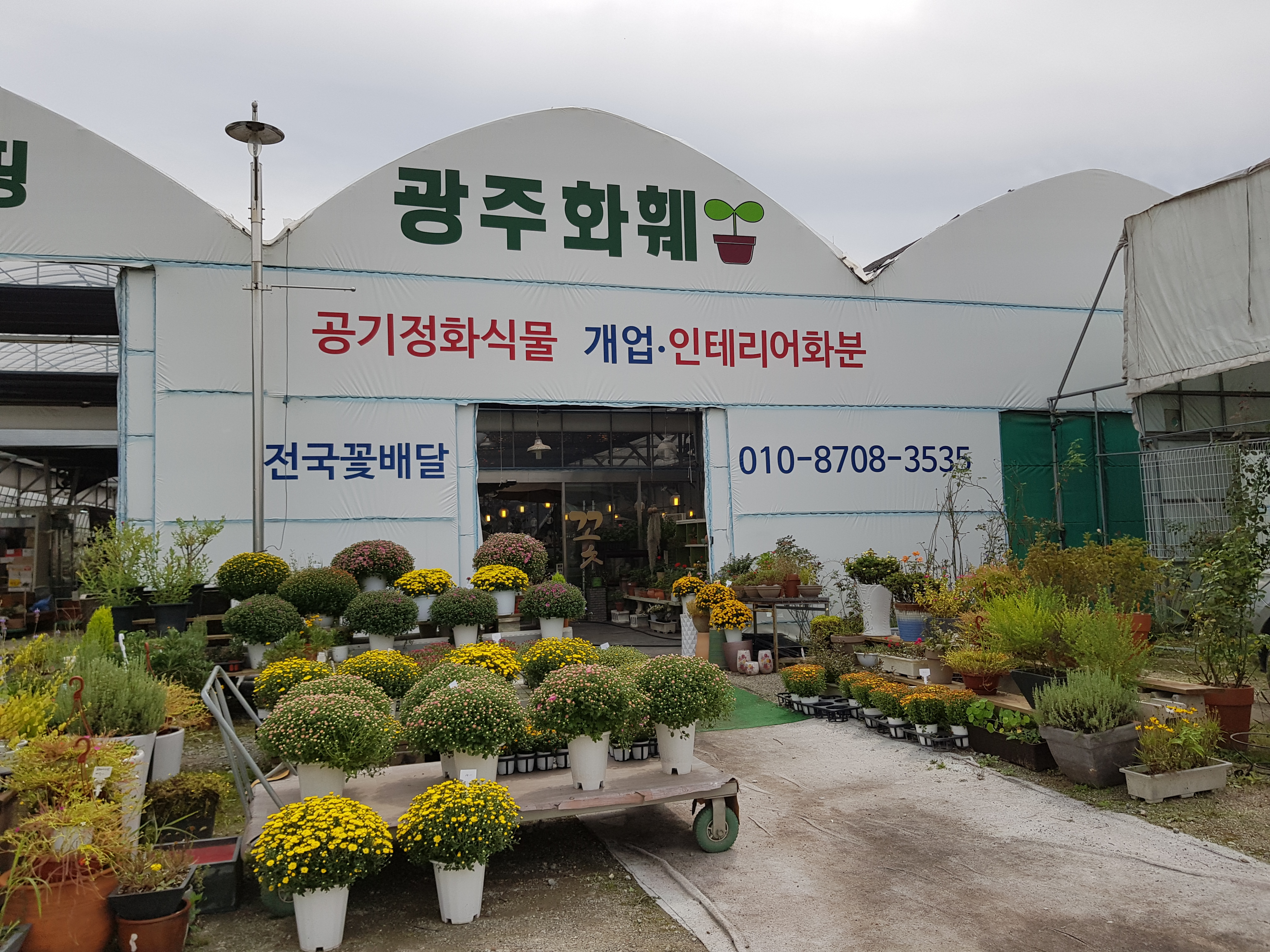 광주화훼