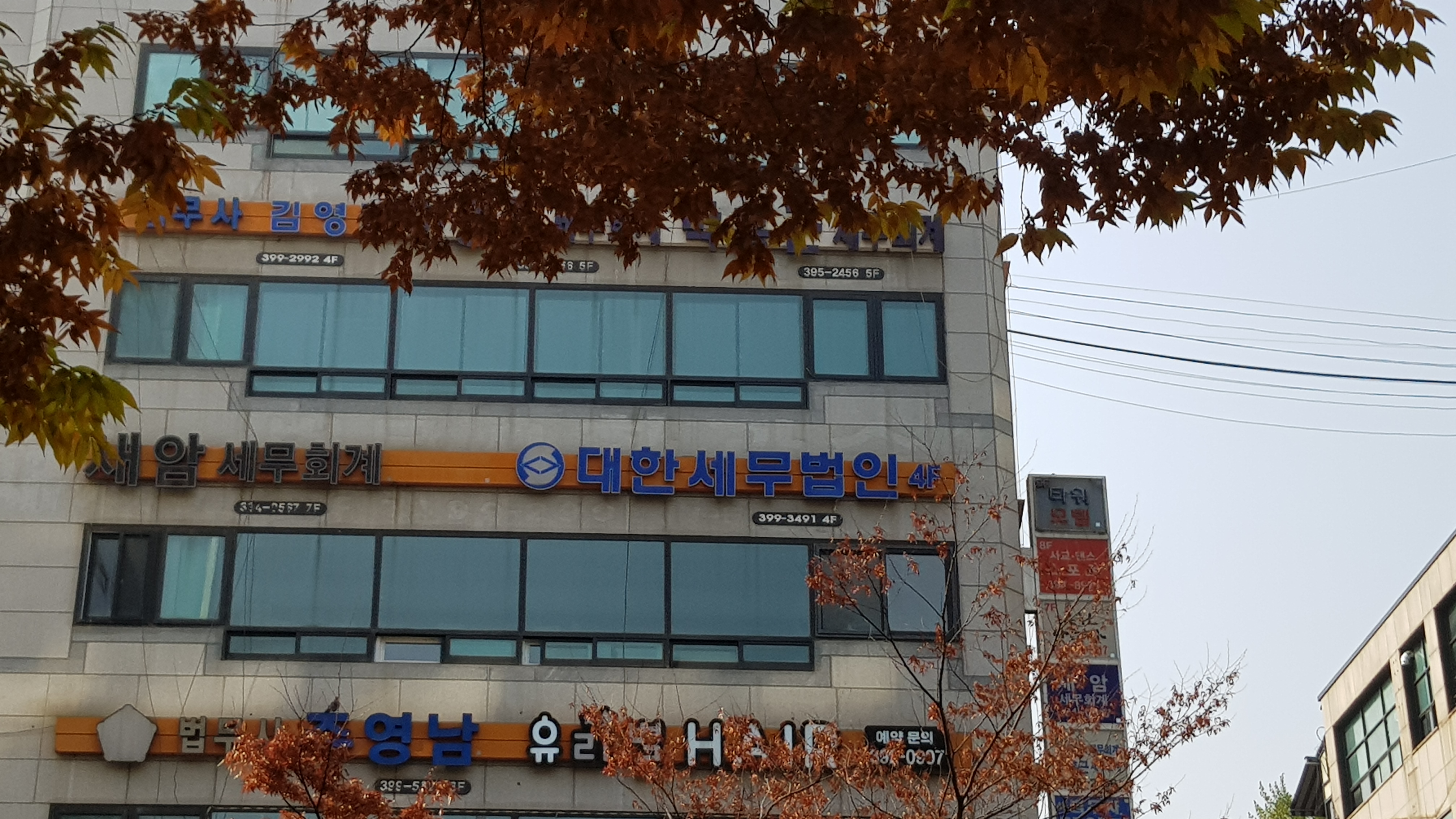 대한세무법인