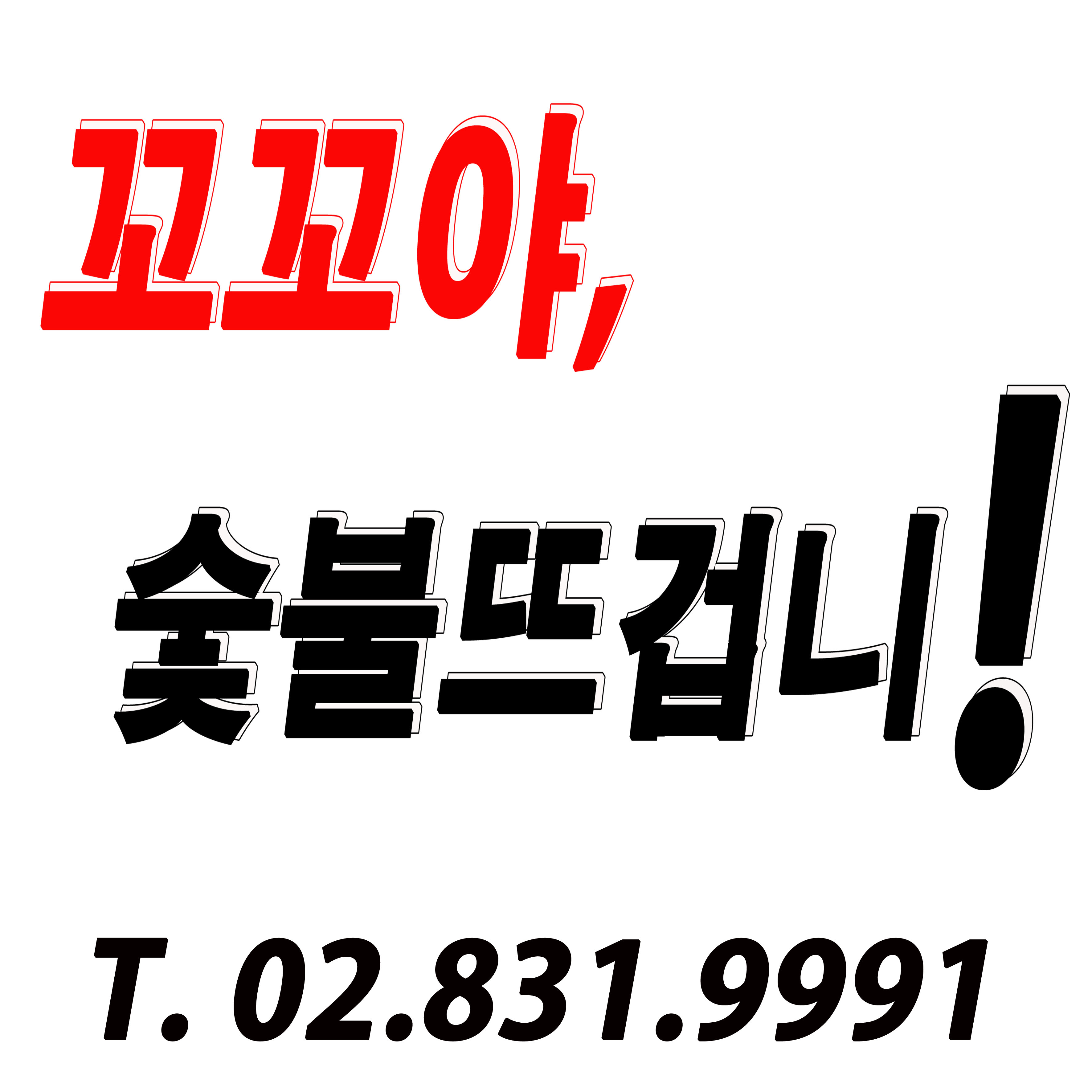 꼬꼬야숯불뜨겁니