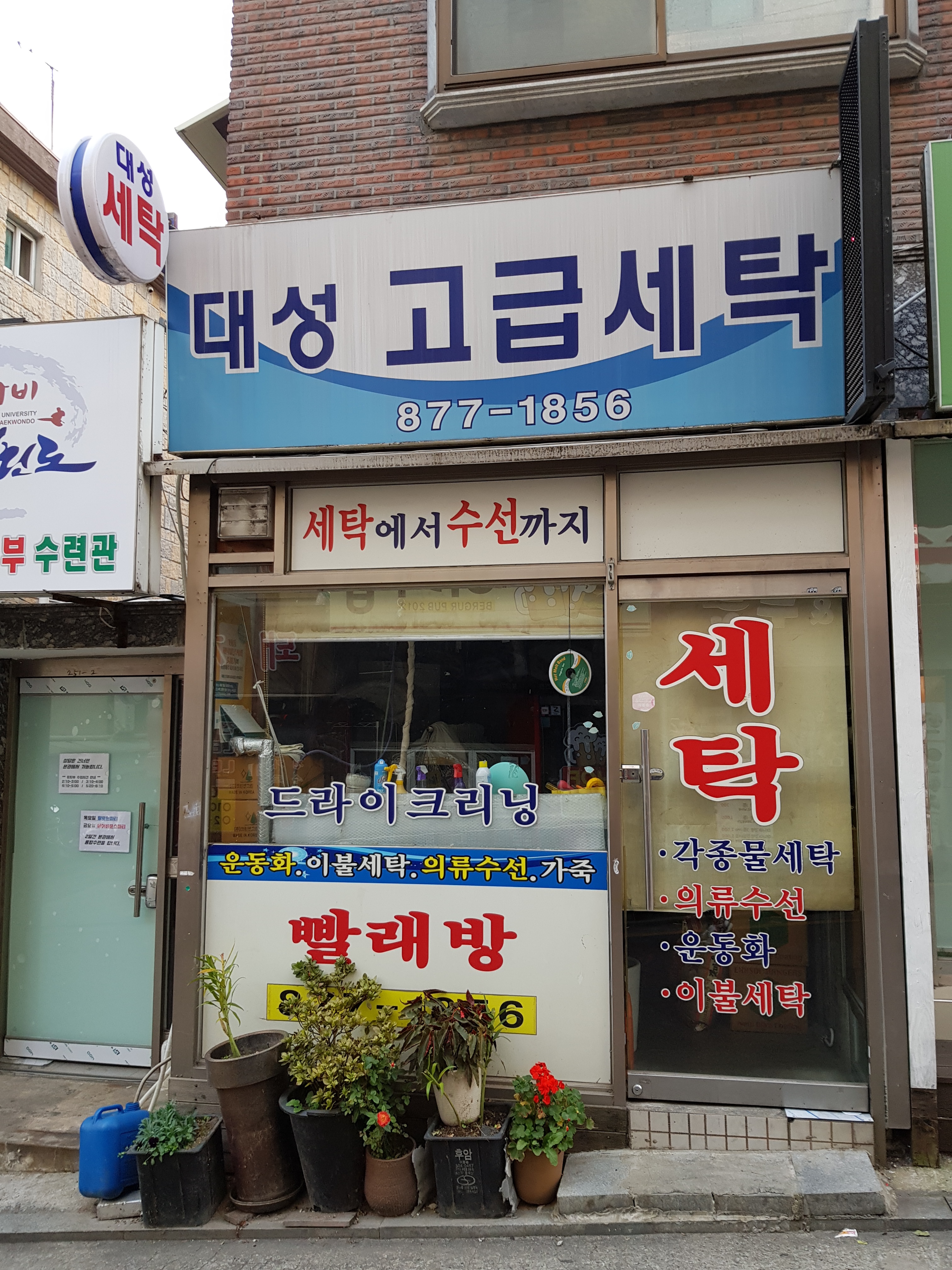 대성세탁