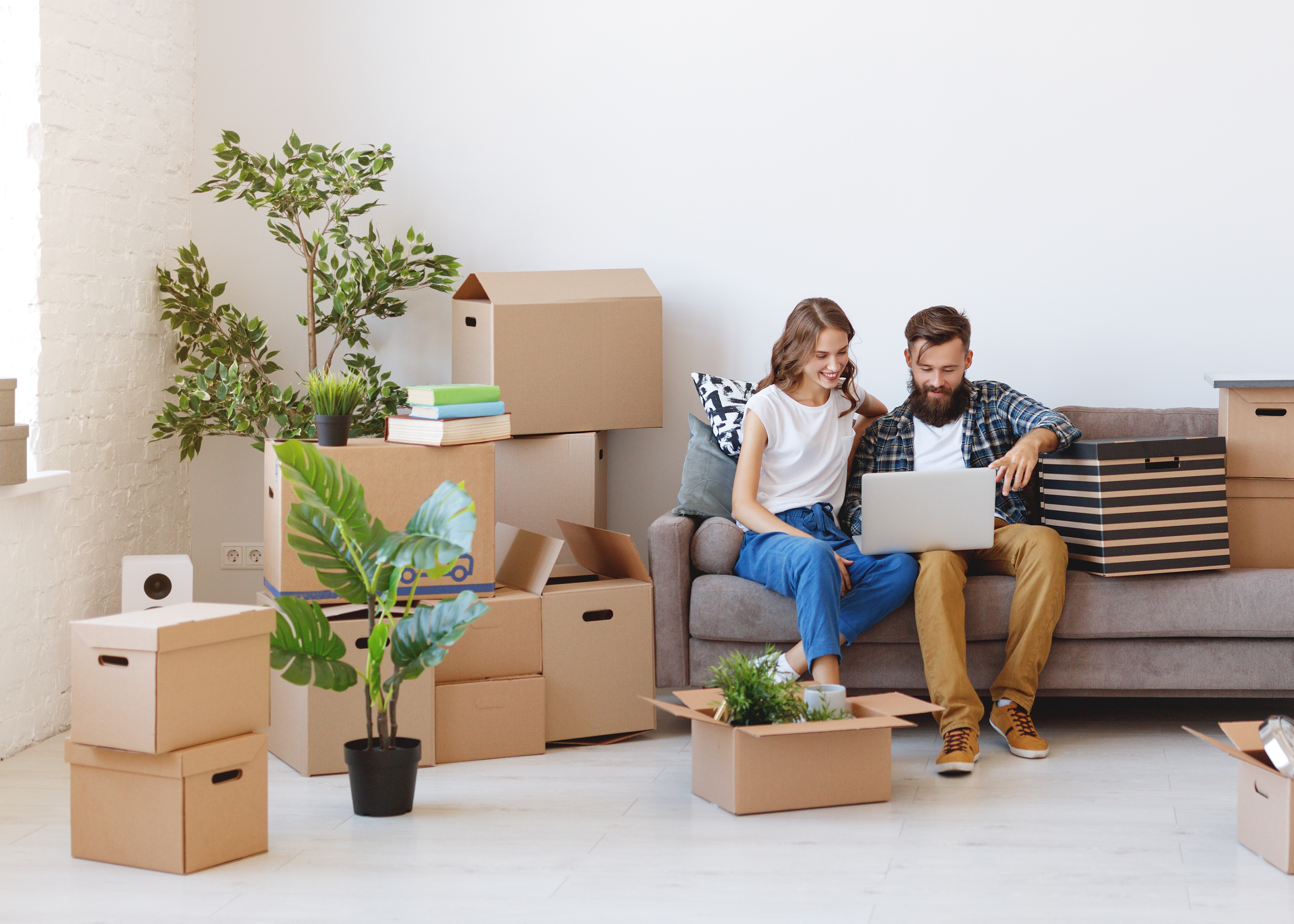 동행 대표 이미지