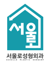 서울로성형외과의원