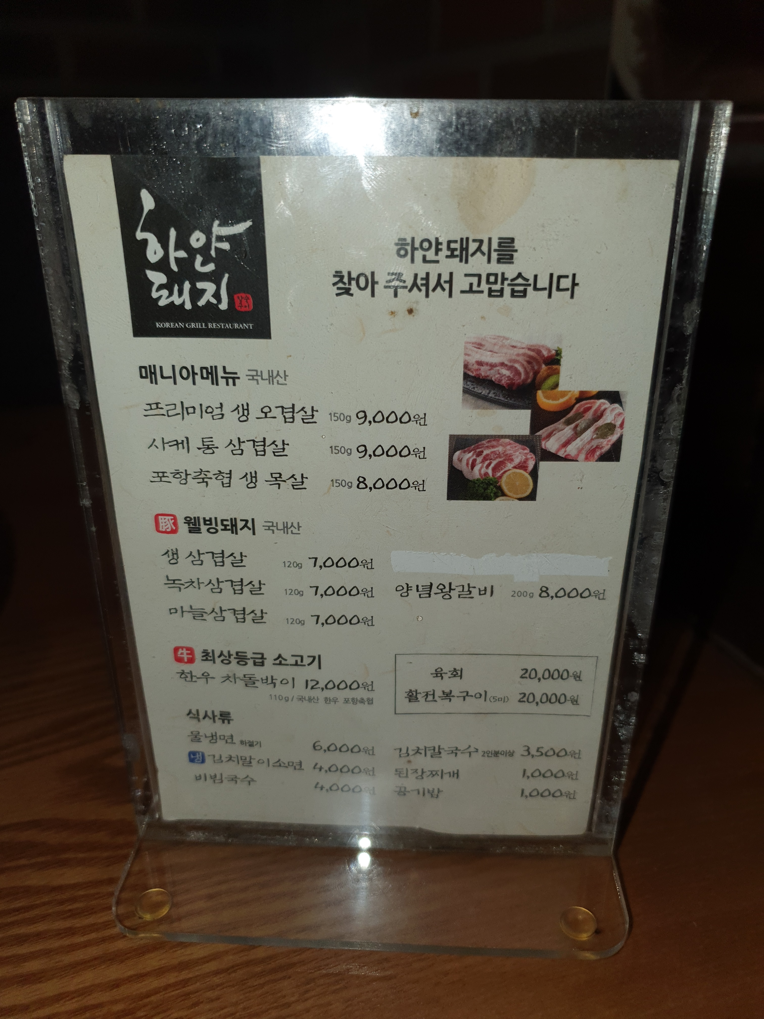 하얀돼지