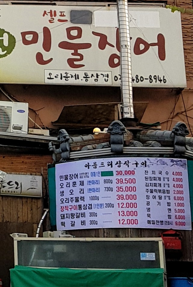 아름드리민물장어