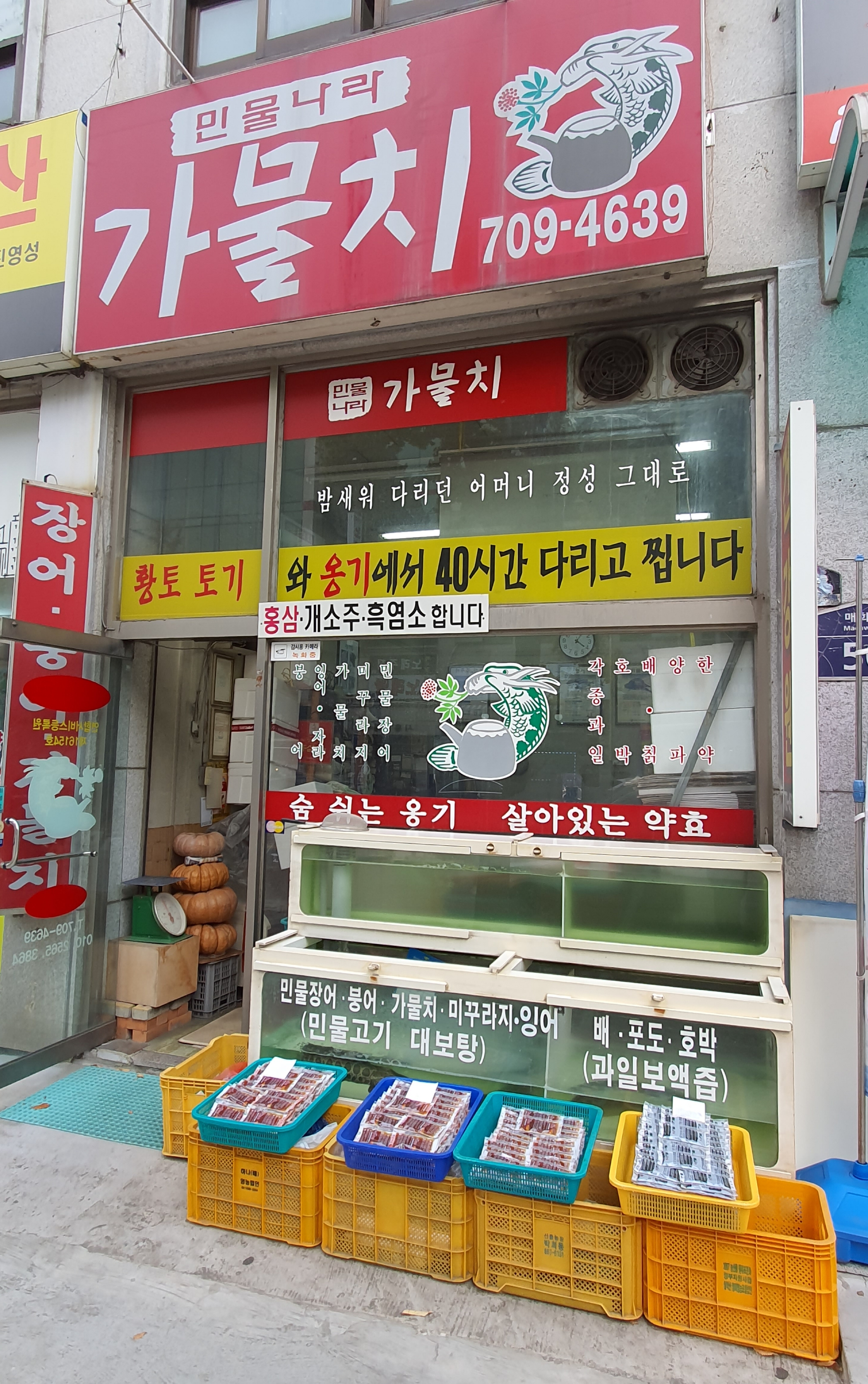 민물나라가물치