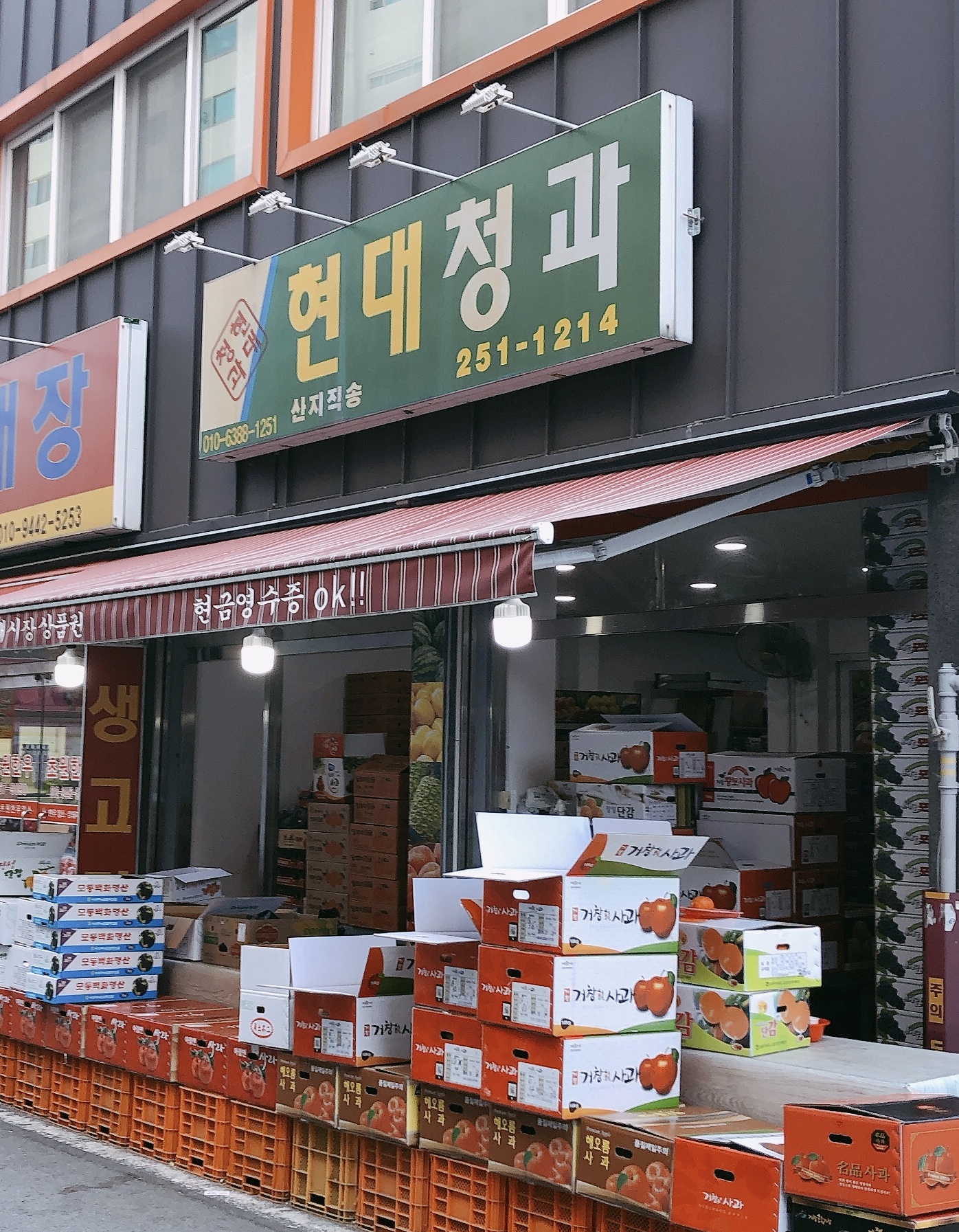 현대청과
