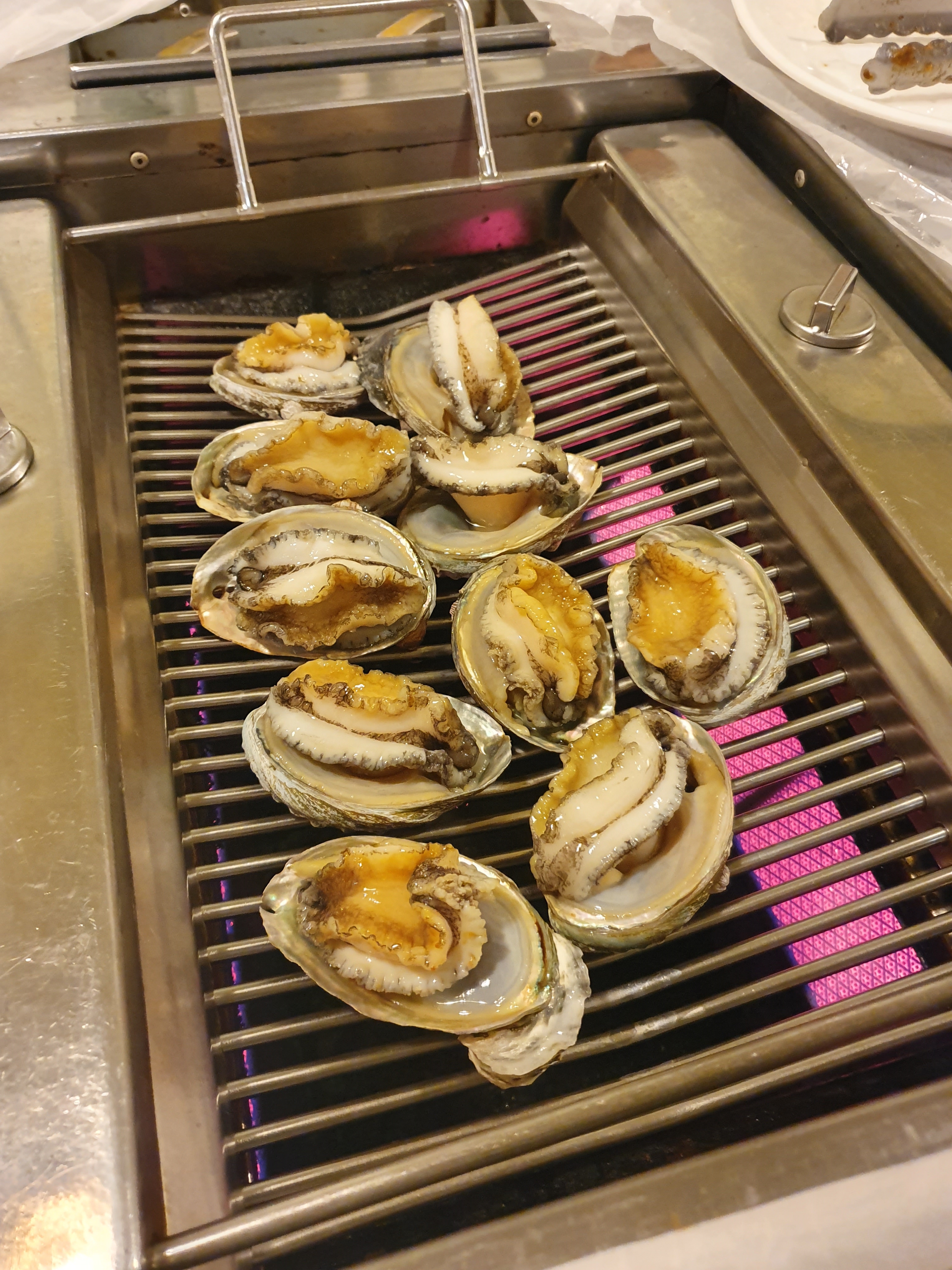 풍천민물장어