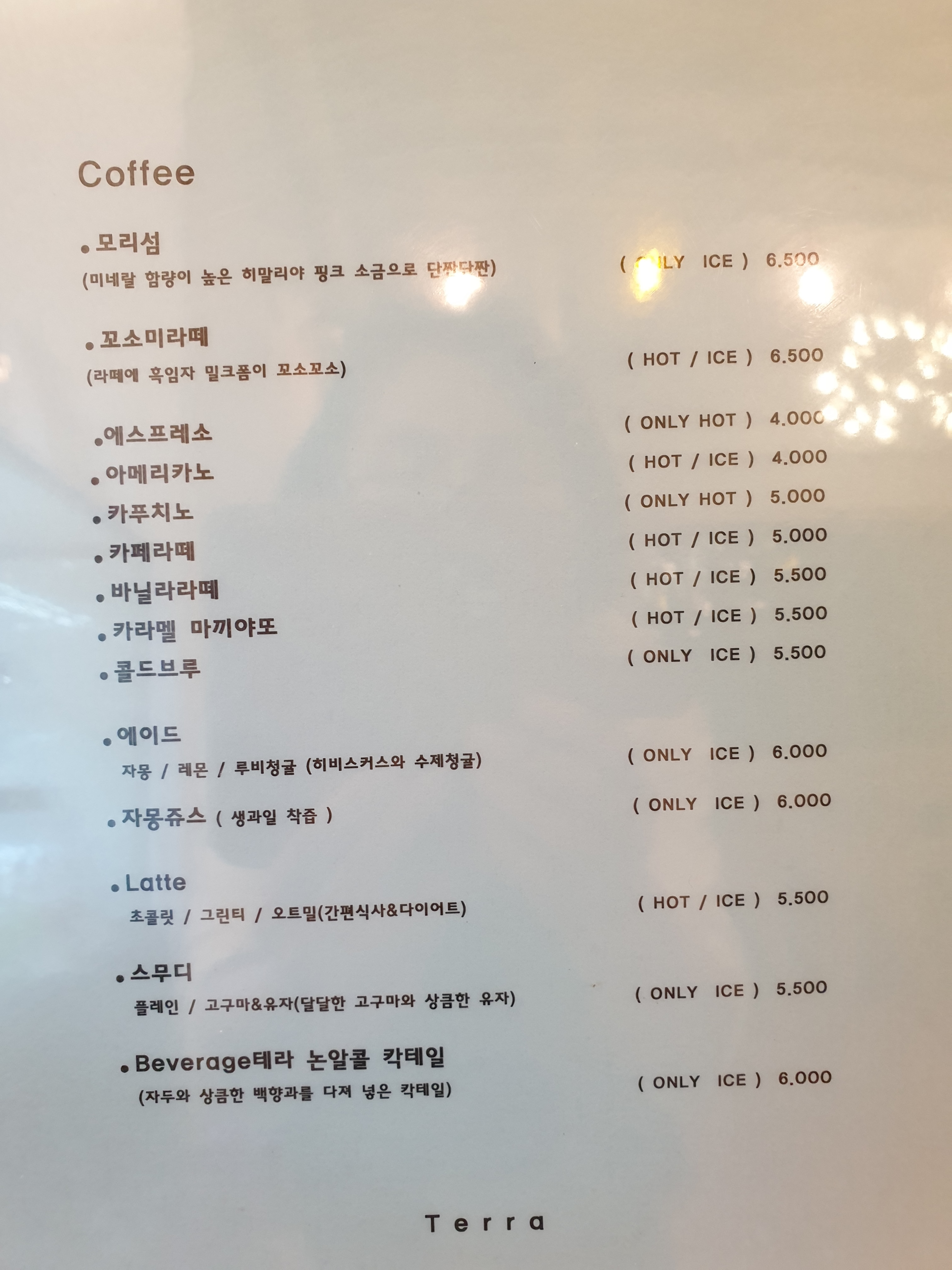 커피테라