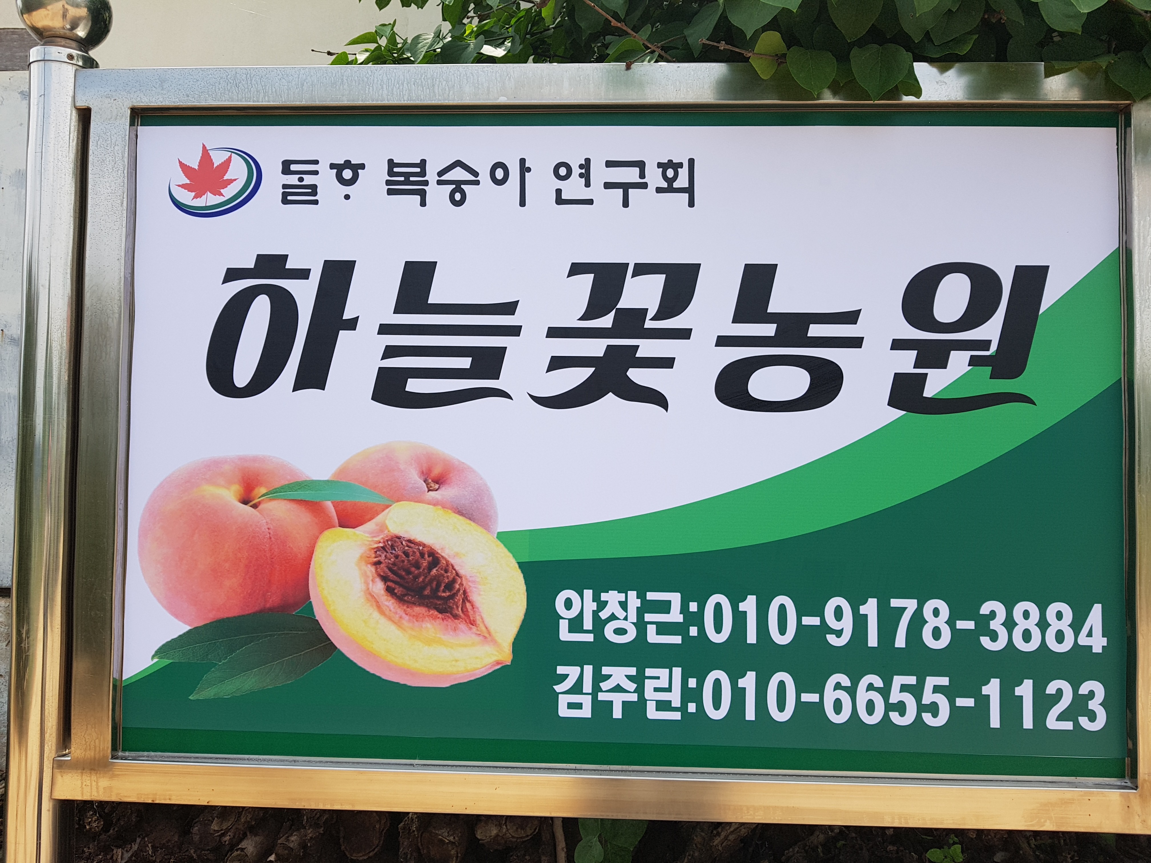 하늘꽃농원