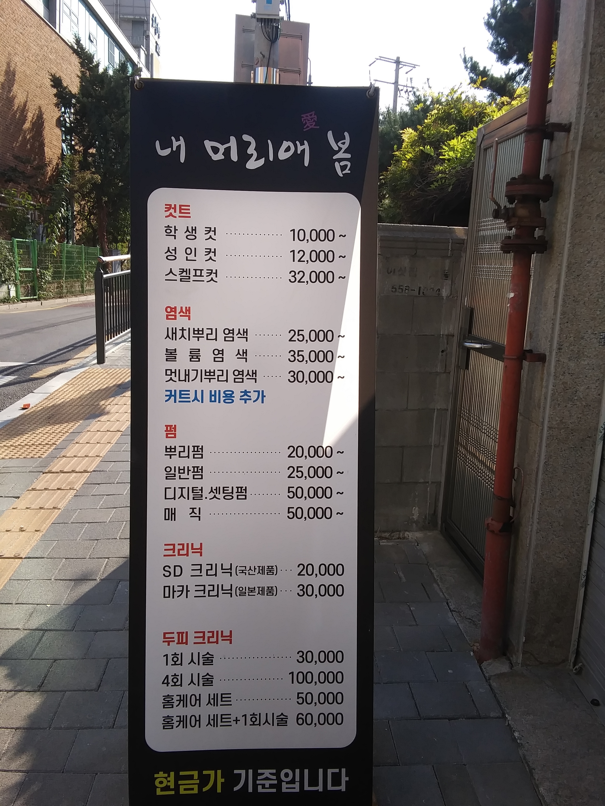 내 머리애 봄