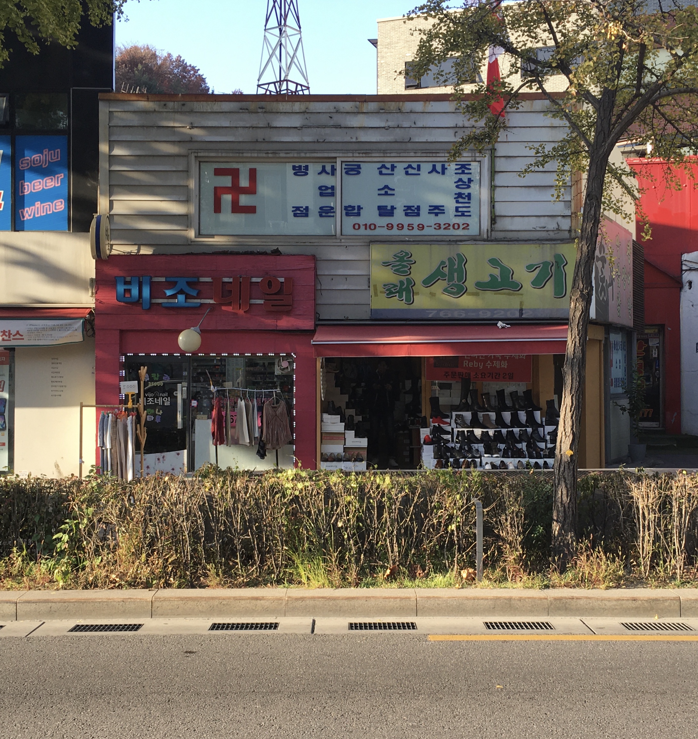 비조네일