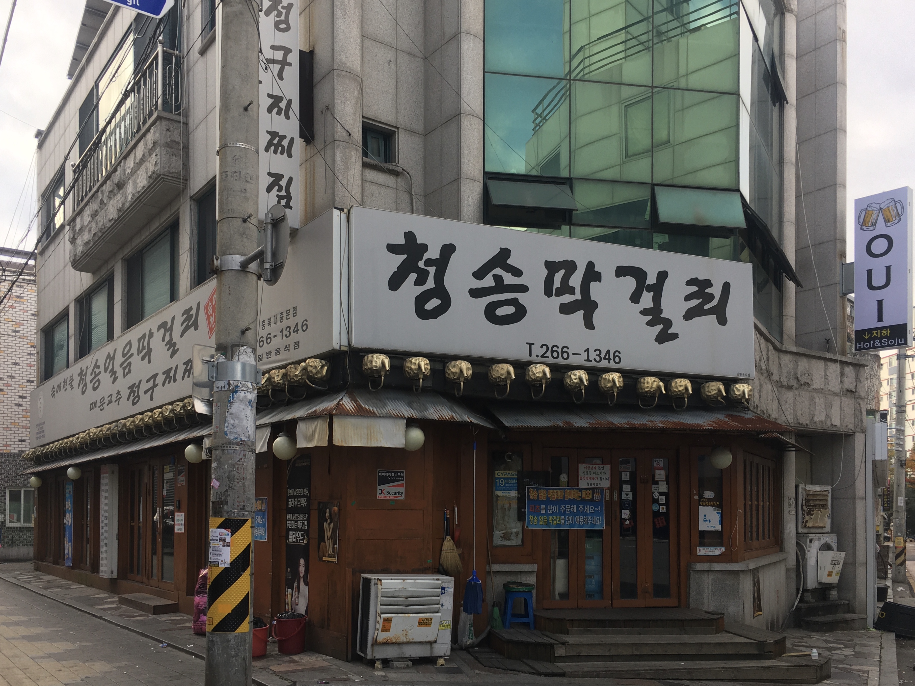속에천불청송얼음막걸리매운고추정구지찌짐 충북대중문점