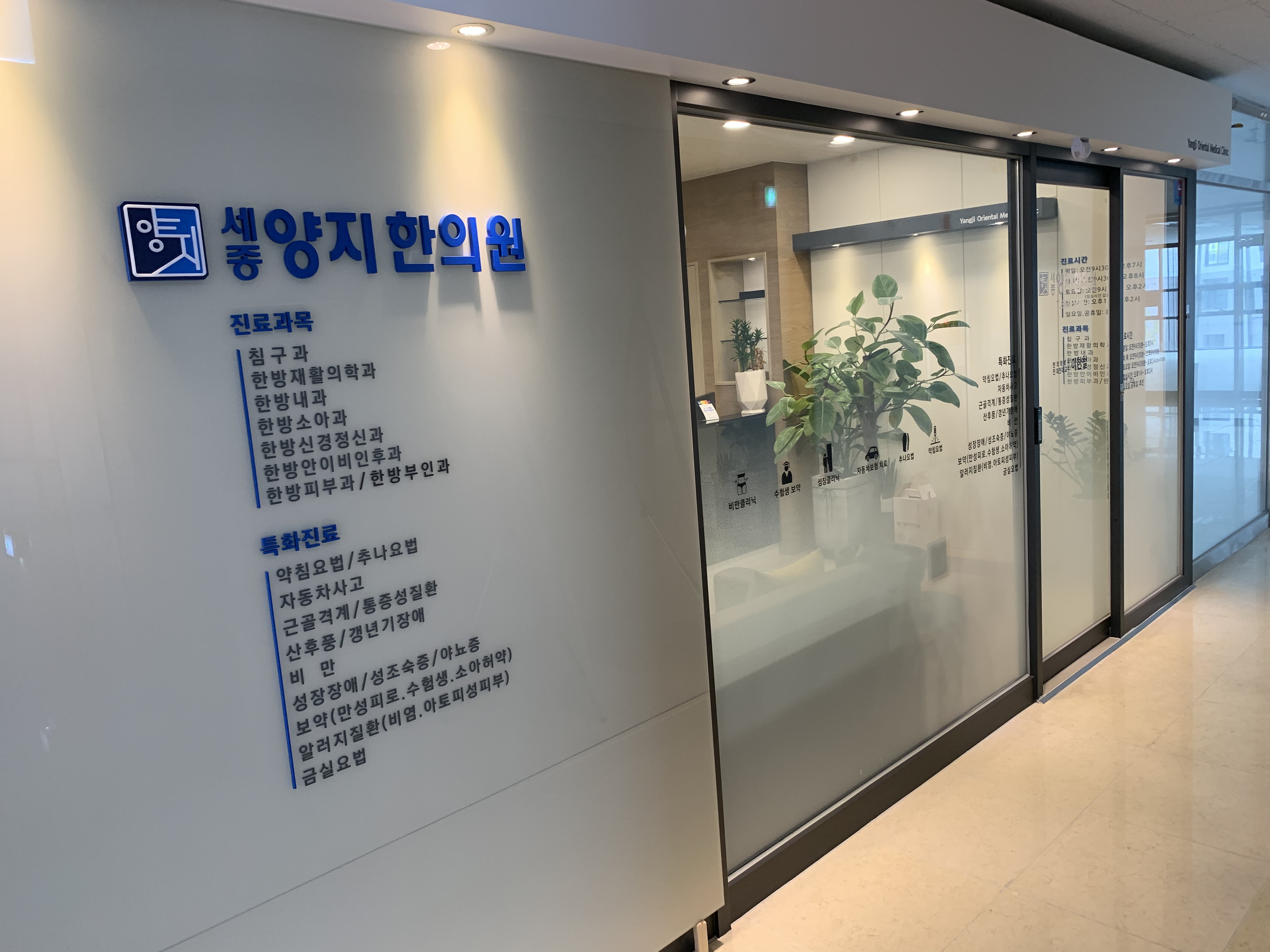 세종양지한의원