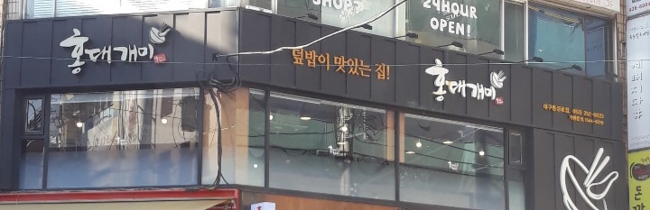 홍대개미