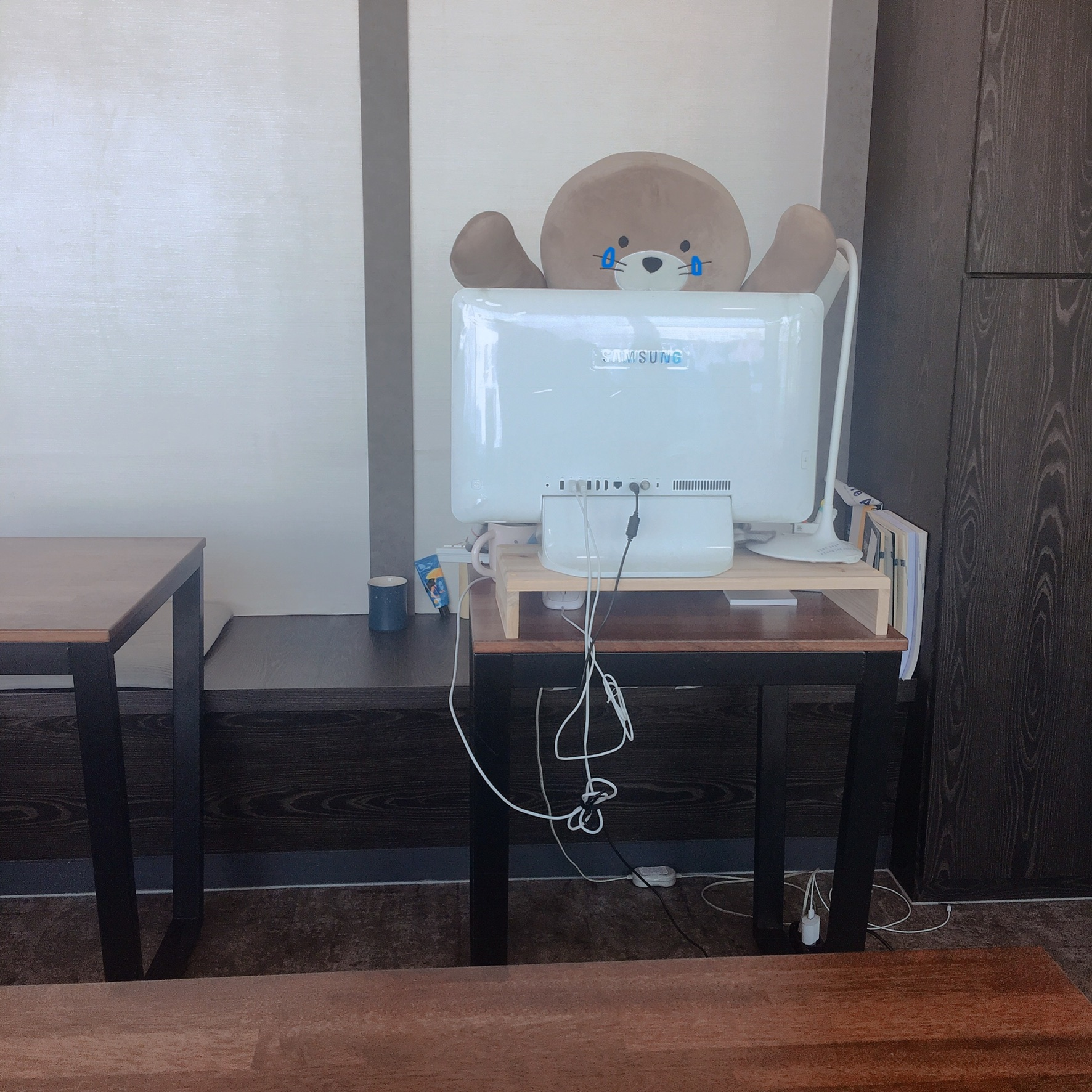 업체사진