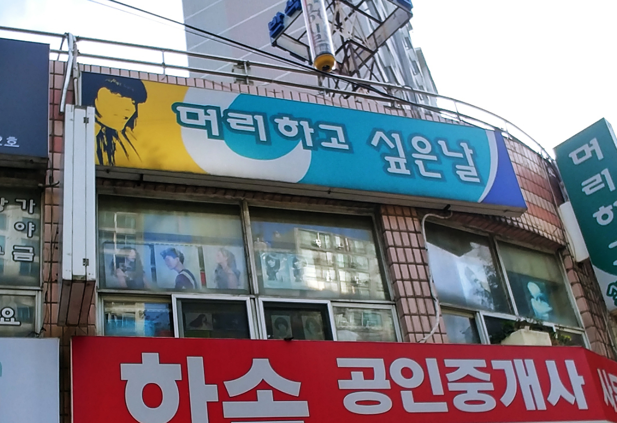 머리하고싶은날