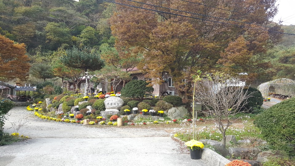 카페관절타임