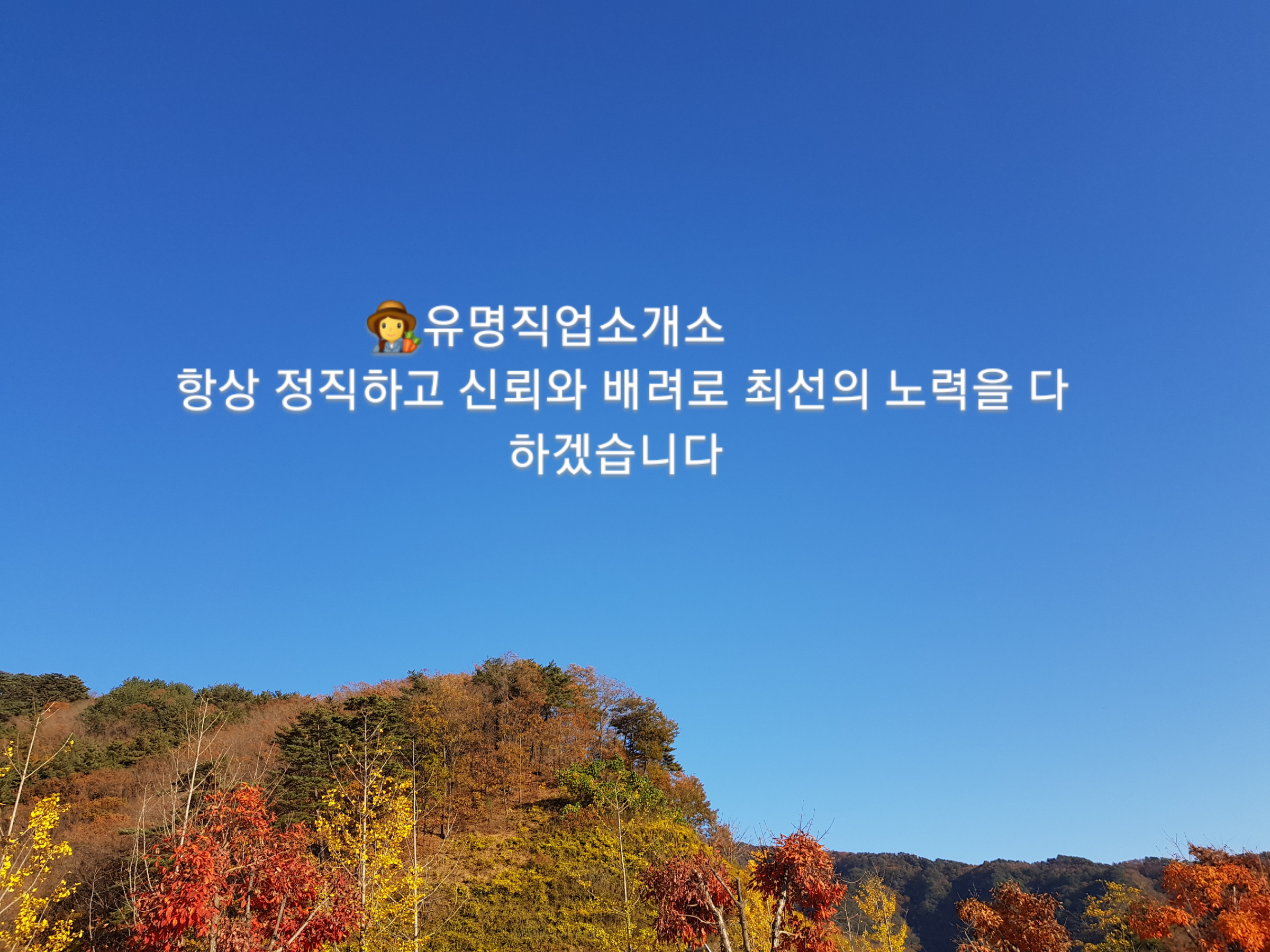 유명직업소개소