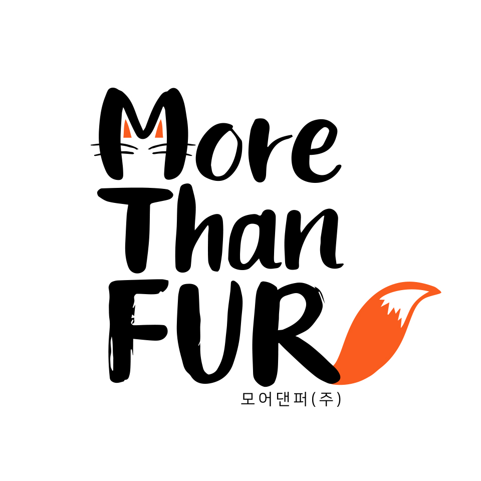 모어댄퍼