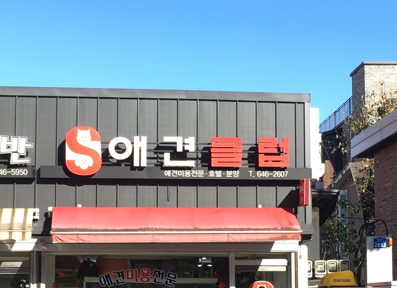 애견클럽 대표 이미지