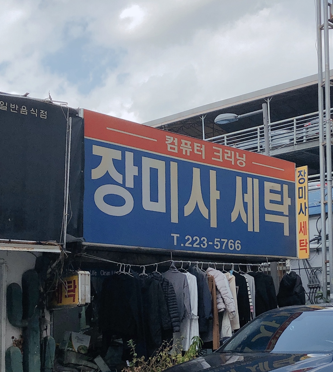 장미사세탁
