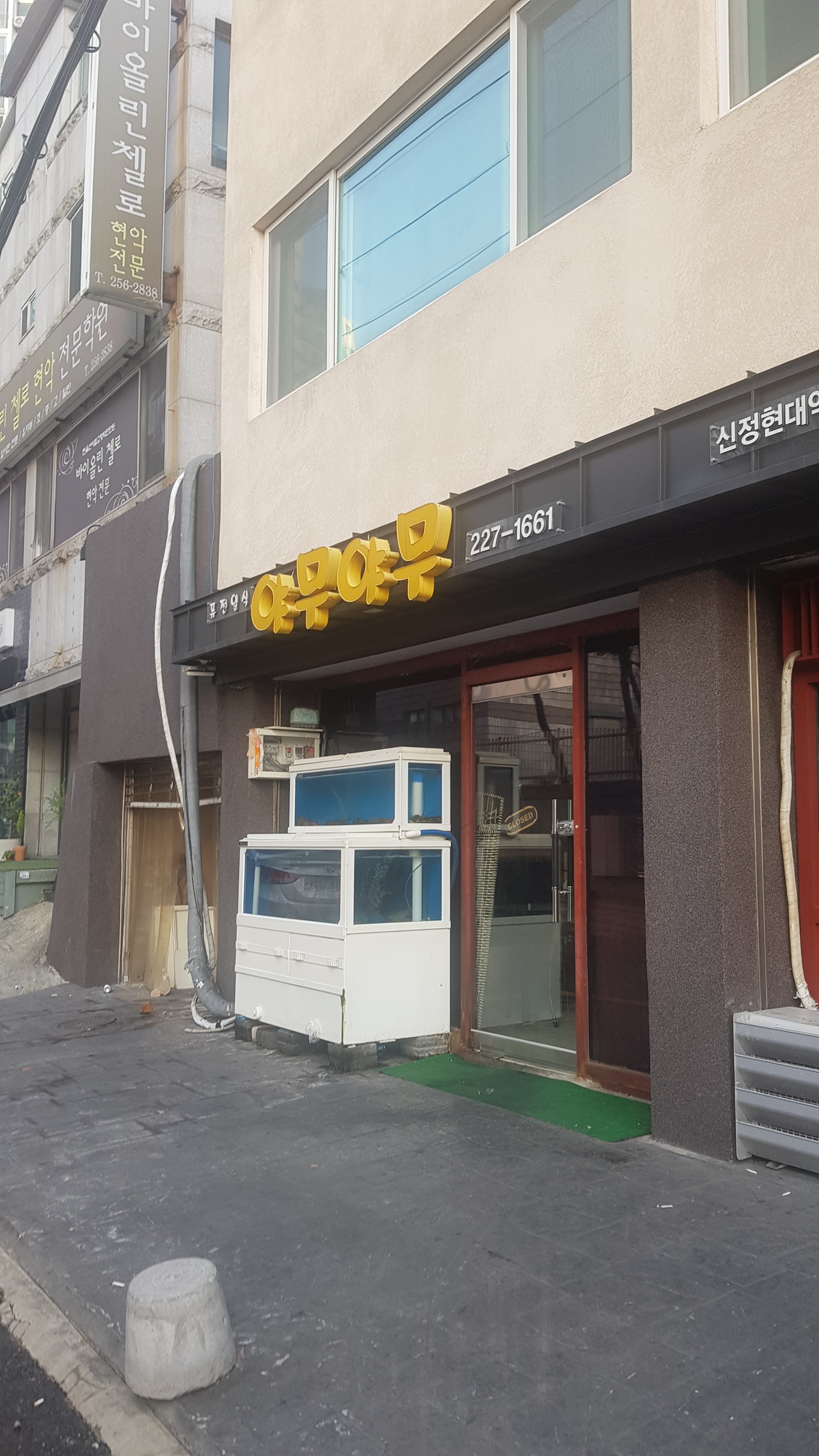 야무야무