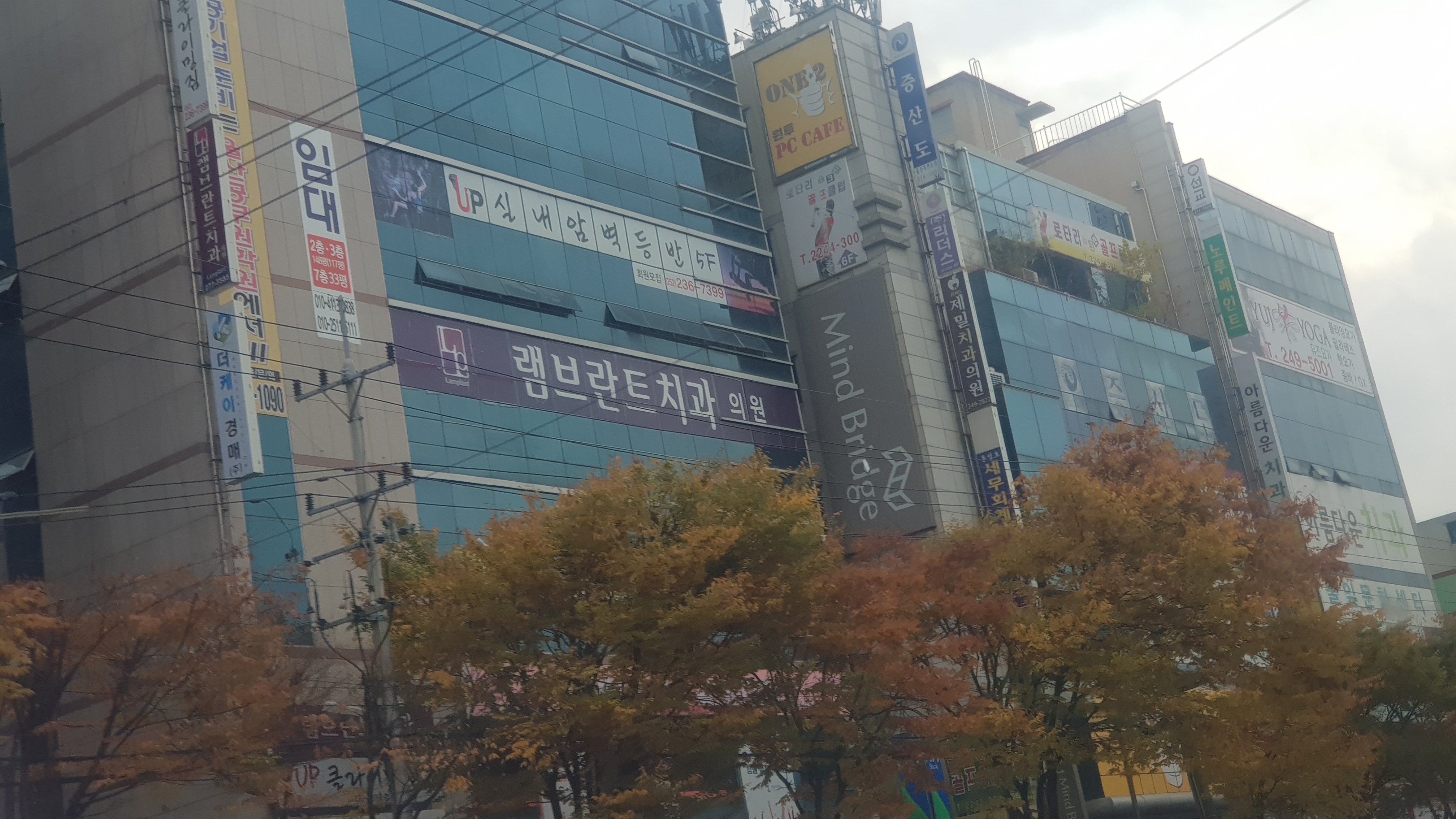 램브란트치과의원 대표 이미지