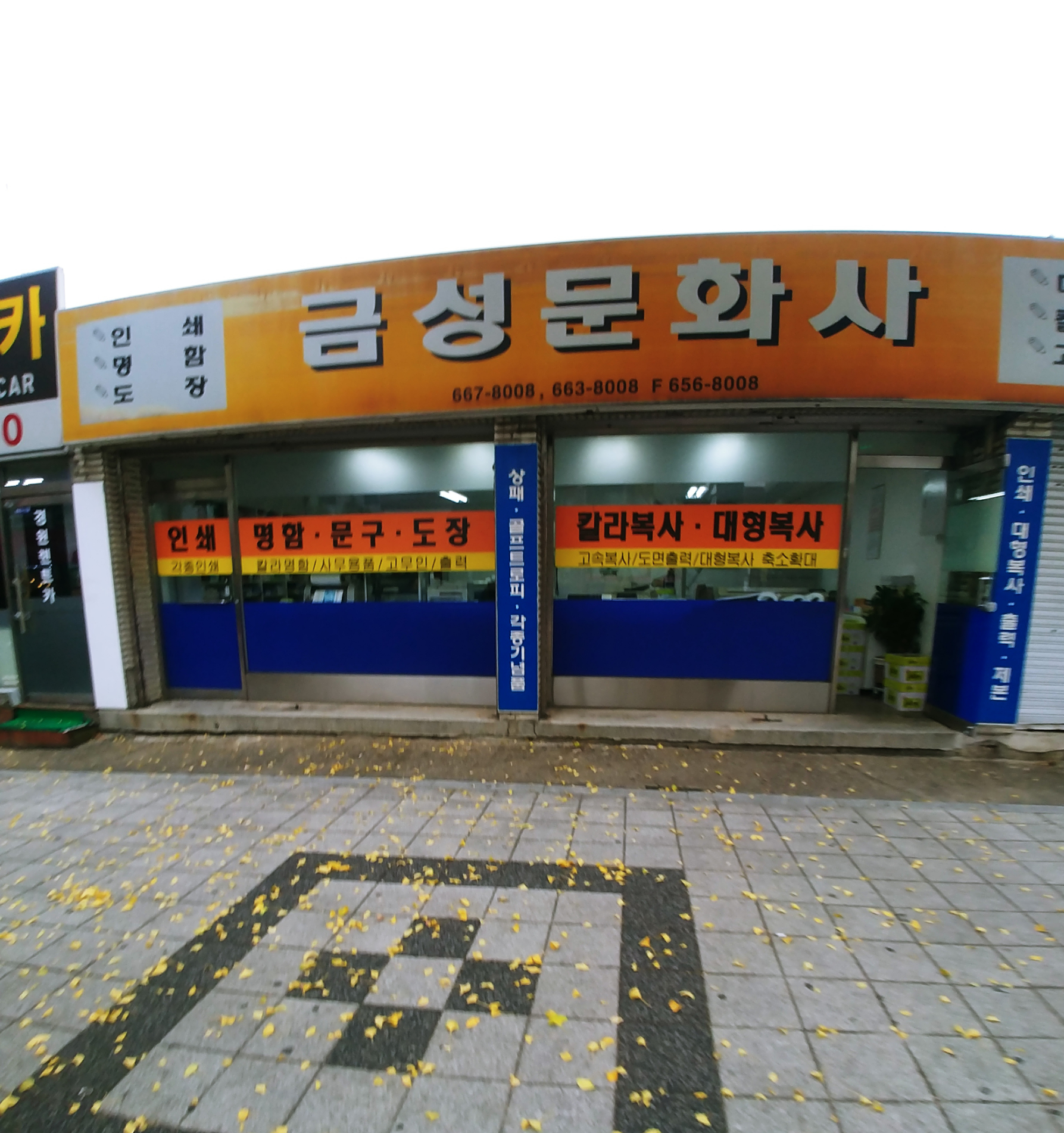 금성문화사