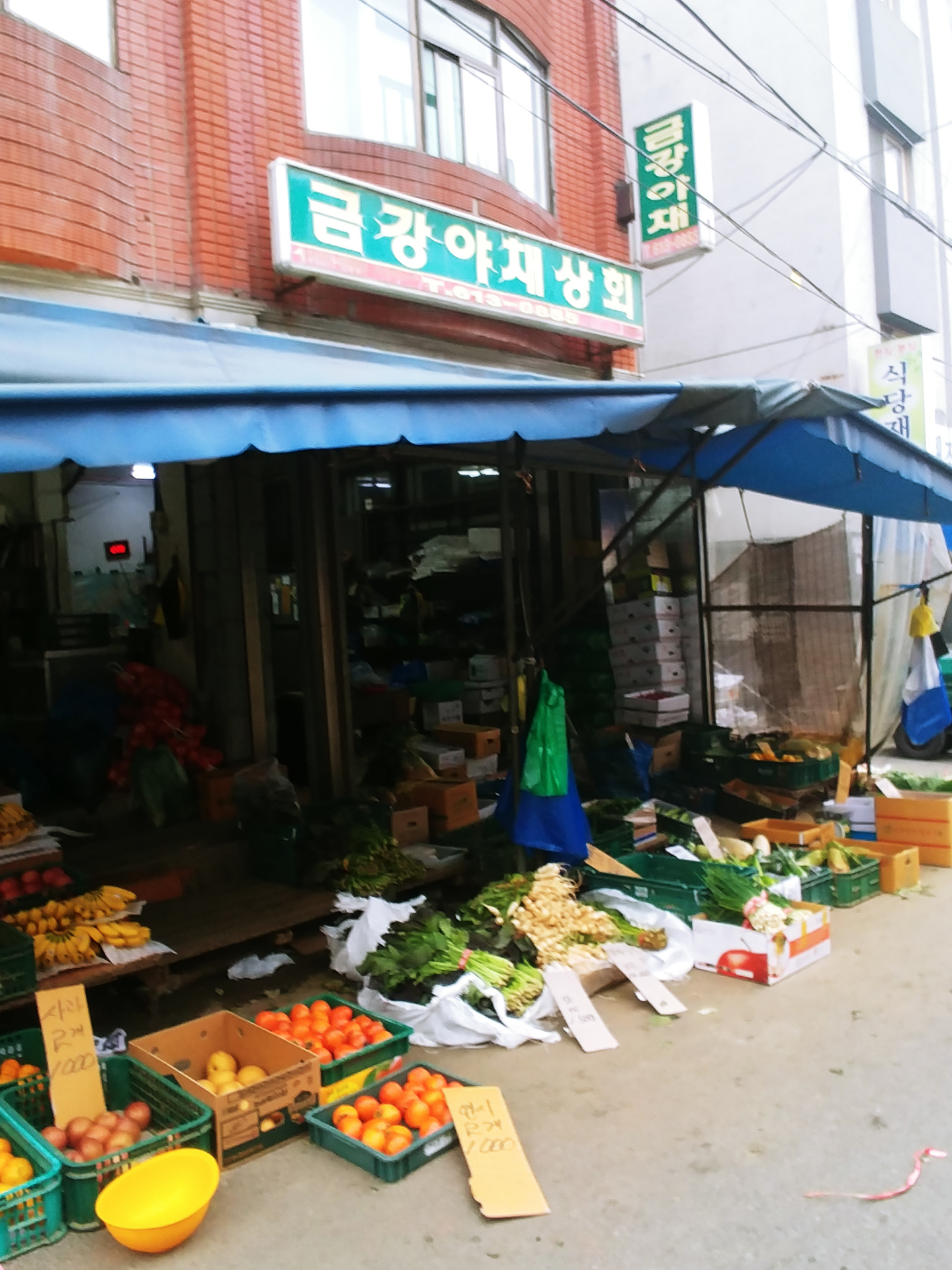 금강야채상회