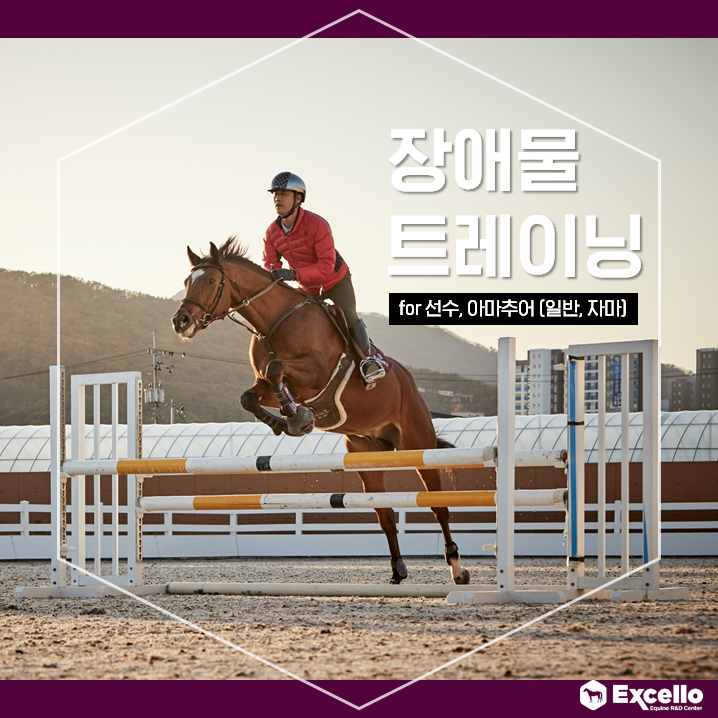 엑셀로이콰인R&D센터