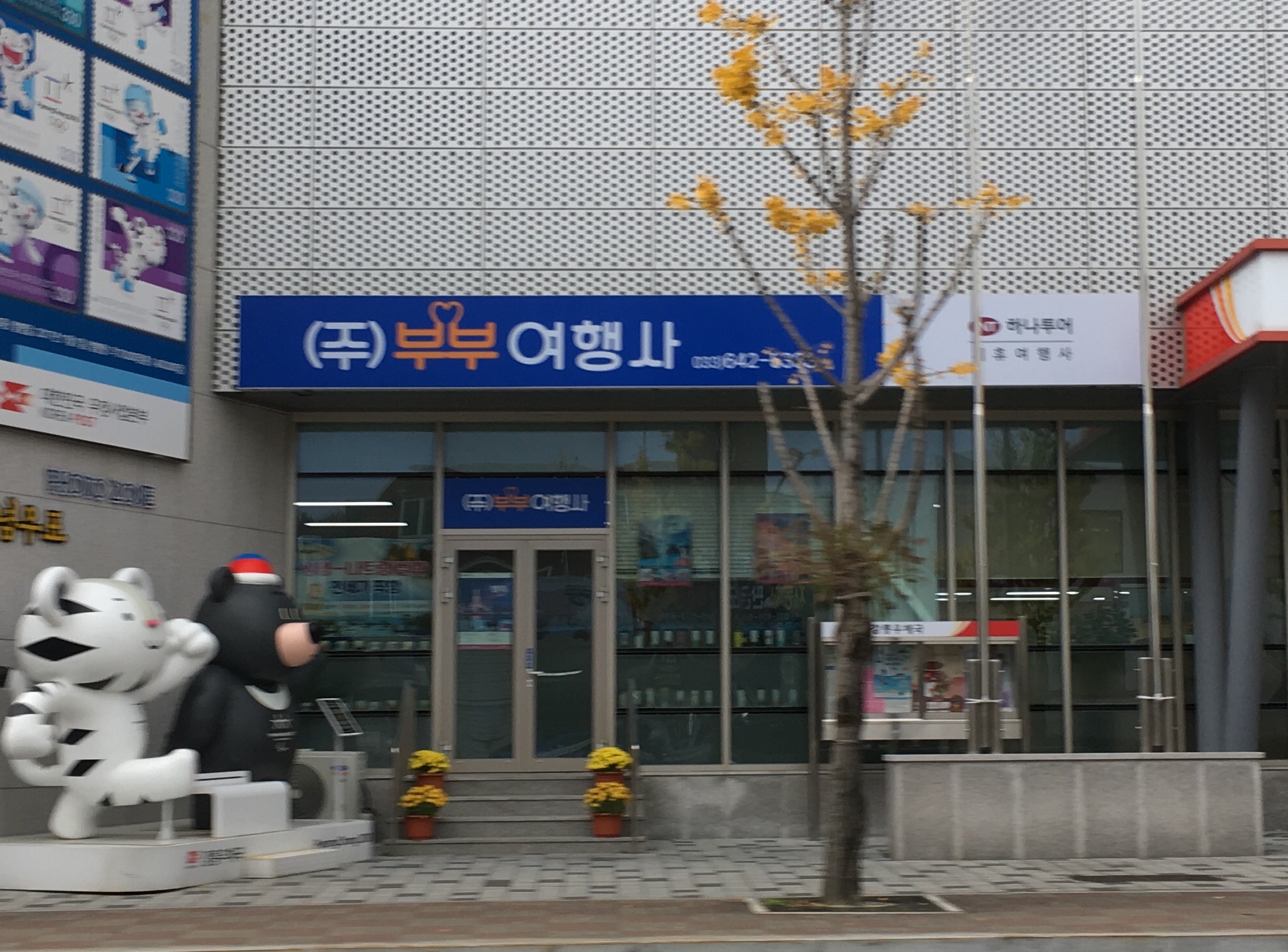 부부여행사