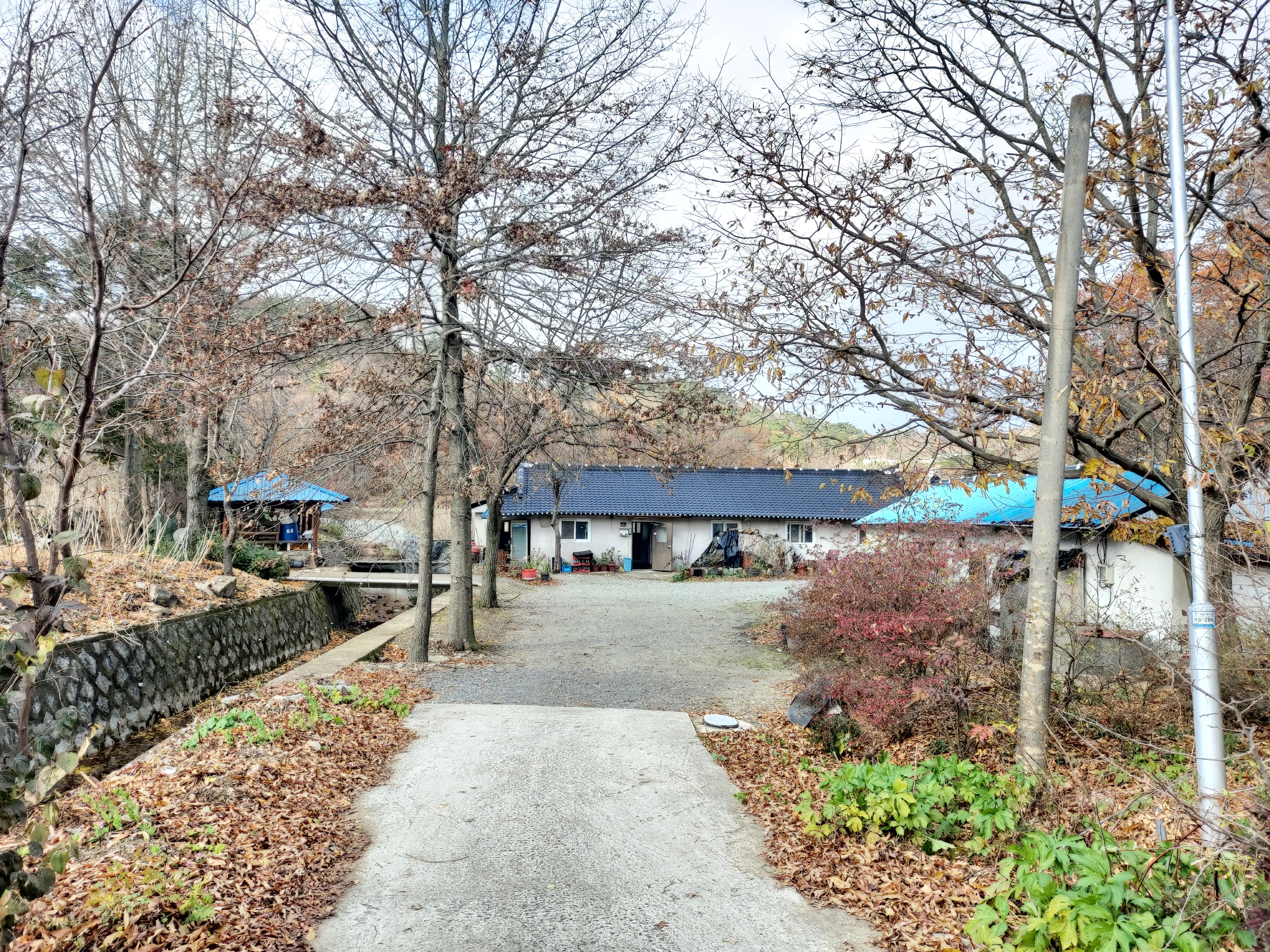 정주산닭