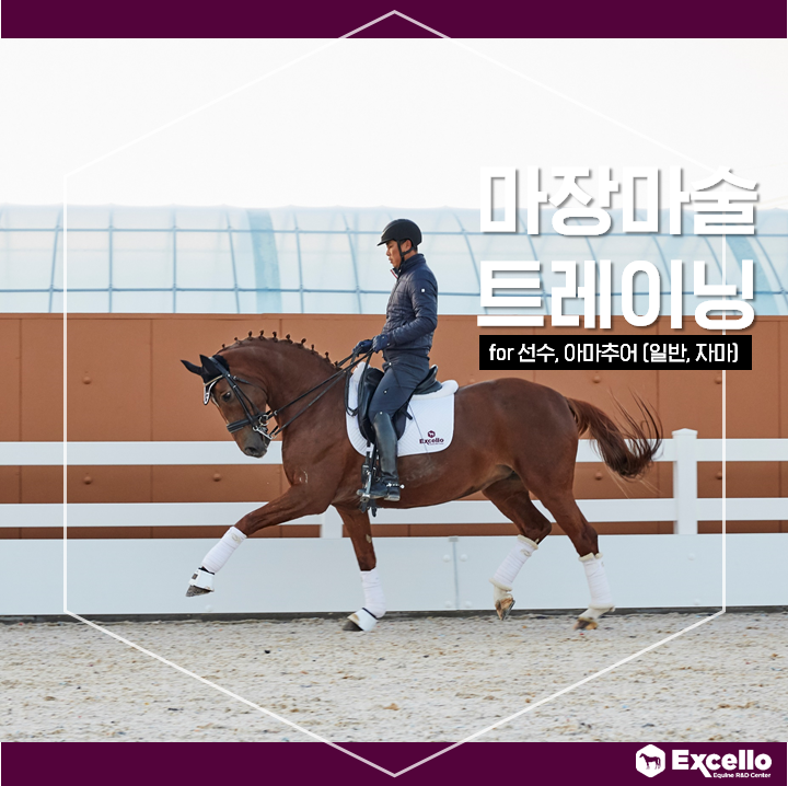 엑셀로이콰인R&D센터