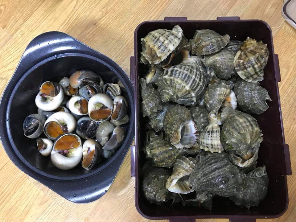 백사장사계절숲속캠핑장
