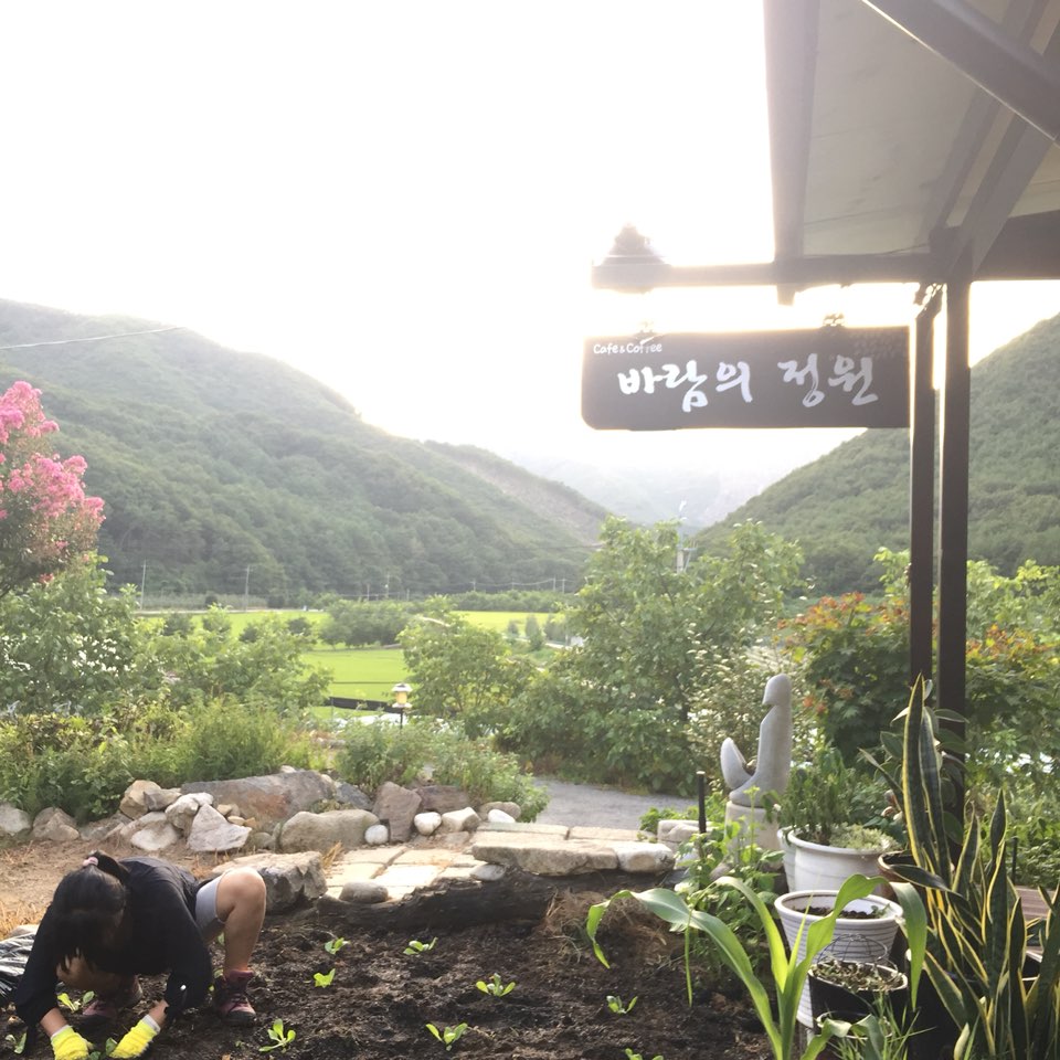 바람의정원 설명사진