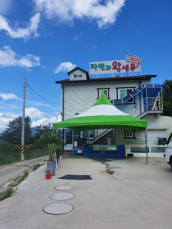 자연과왕새우 설명사진