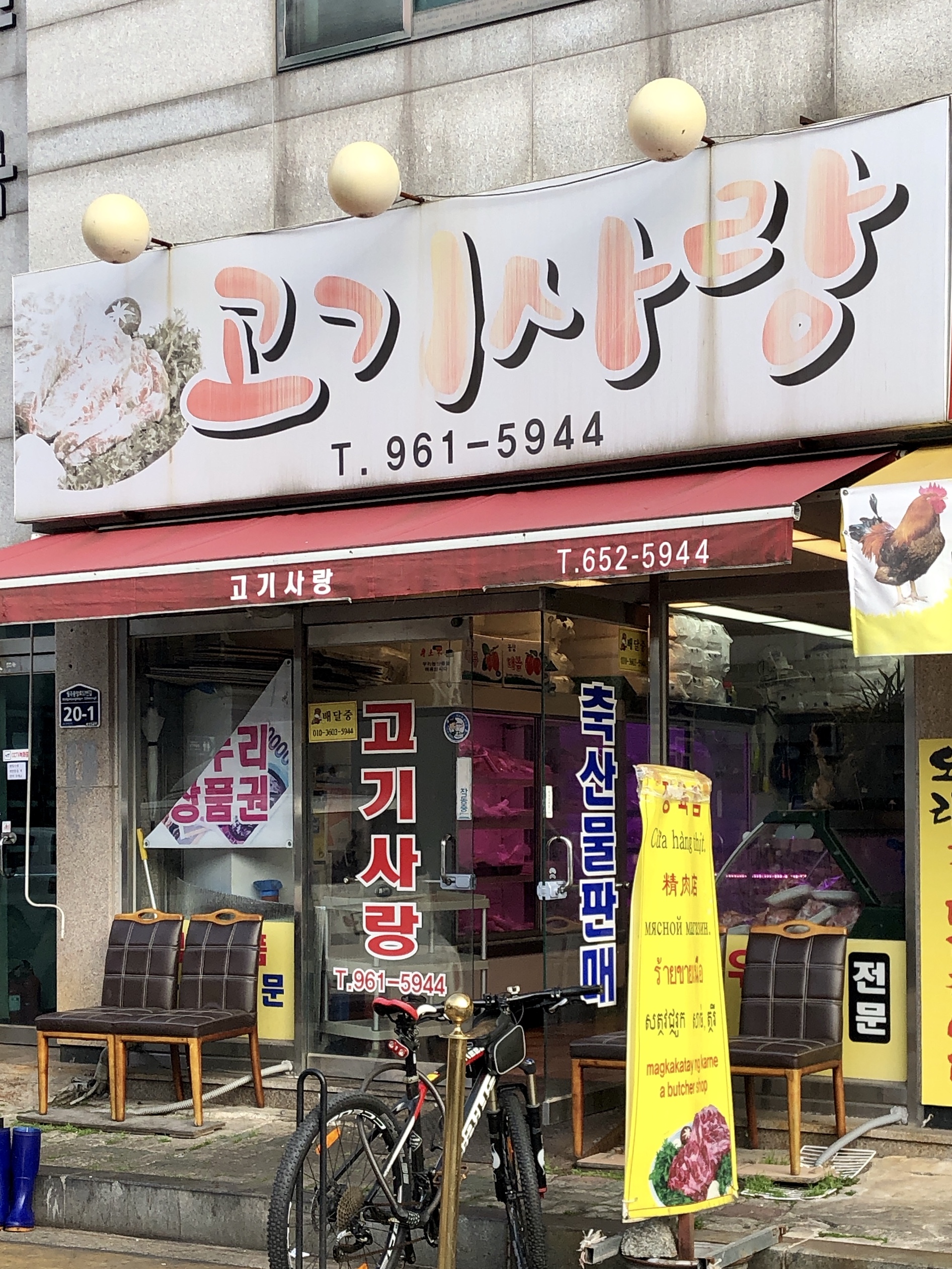 고기사랑