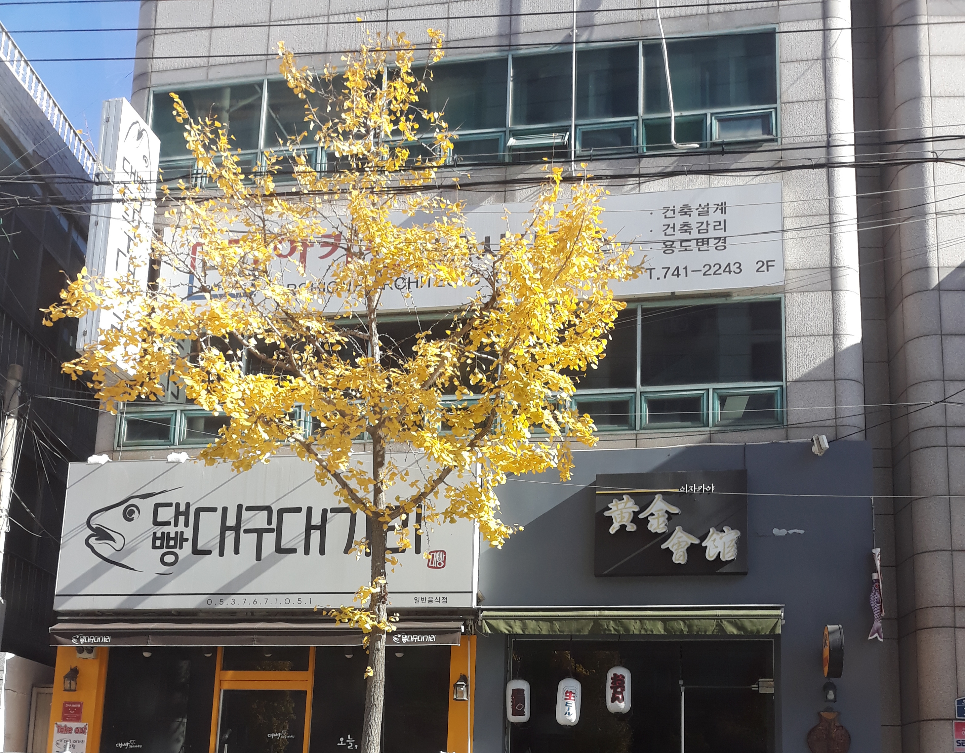 아키원건축사사무소