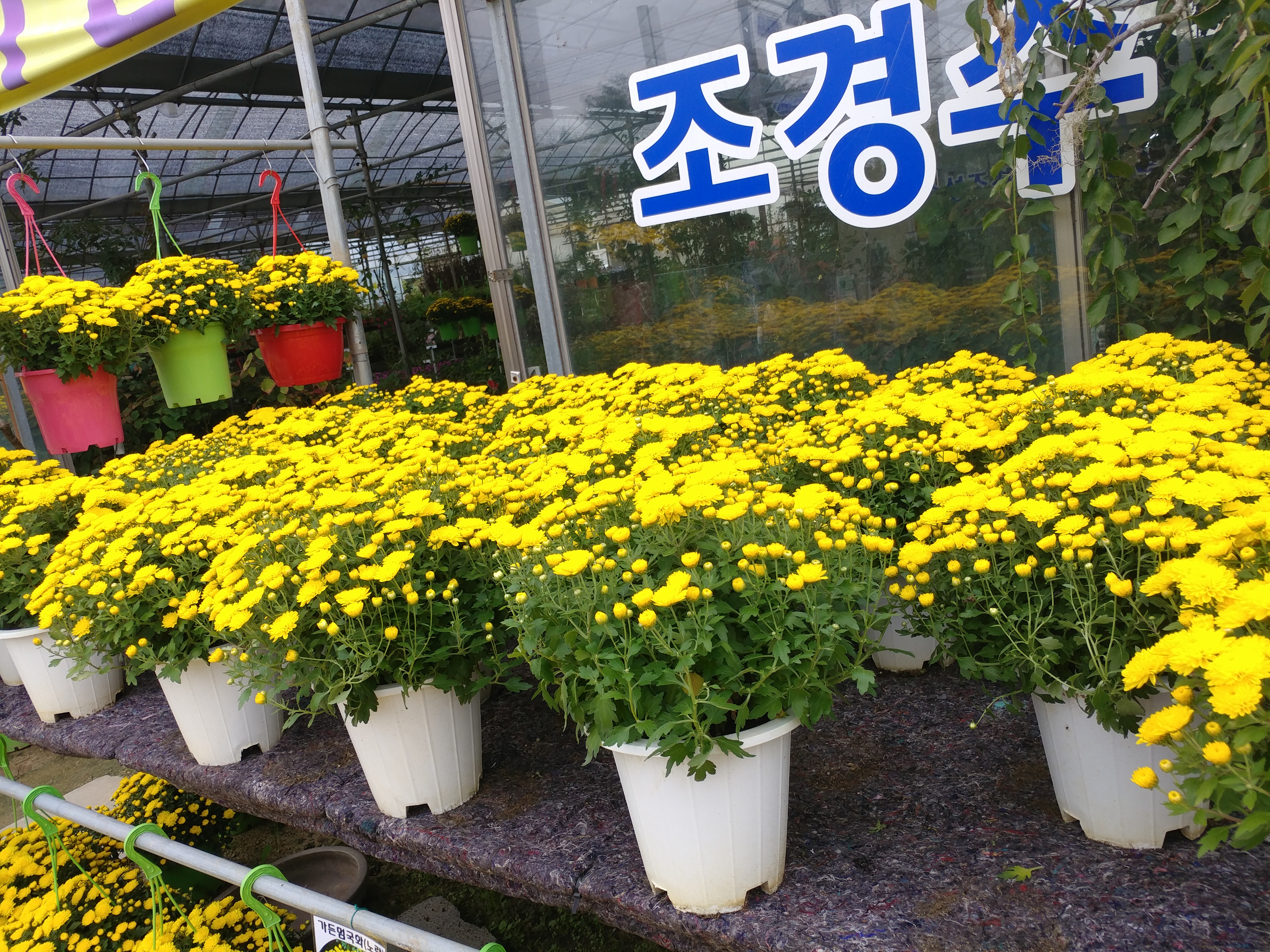 수성조경농원