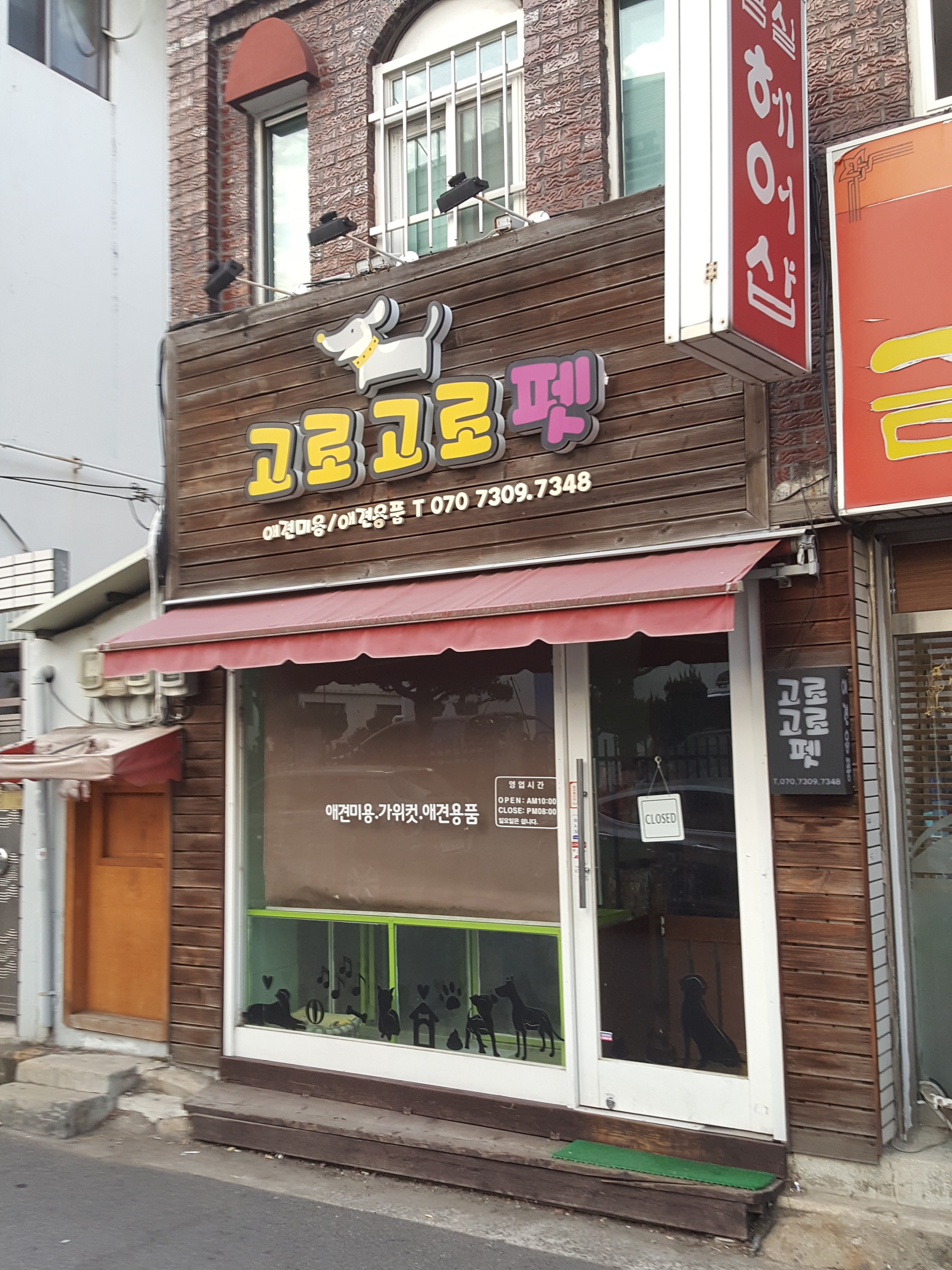 고로고로펫 대표 이미지