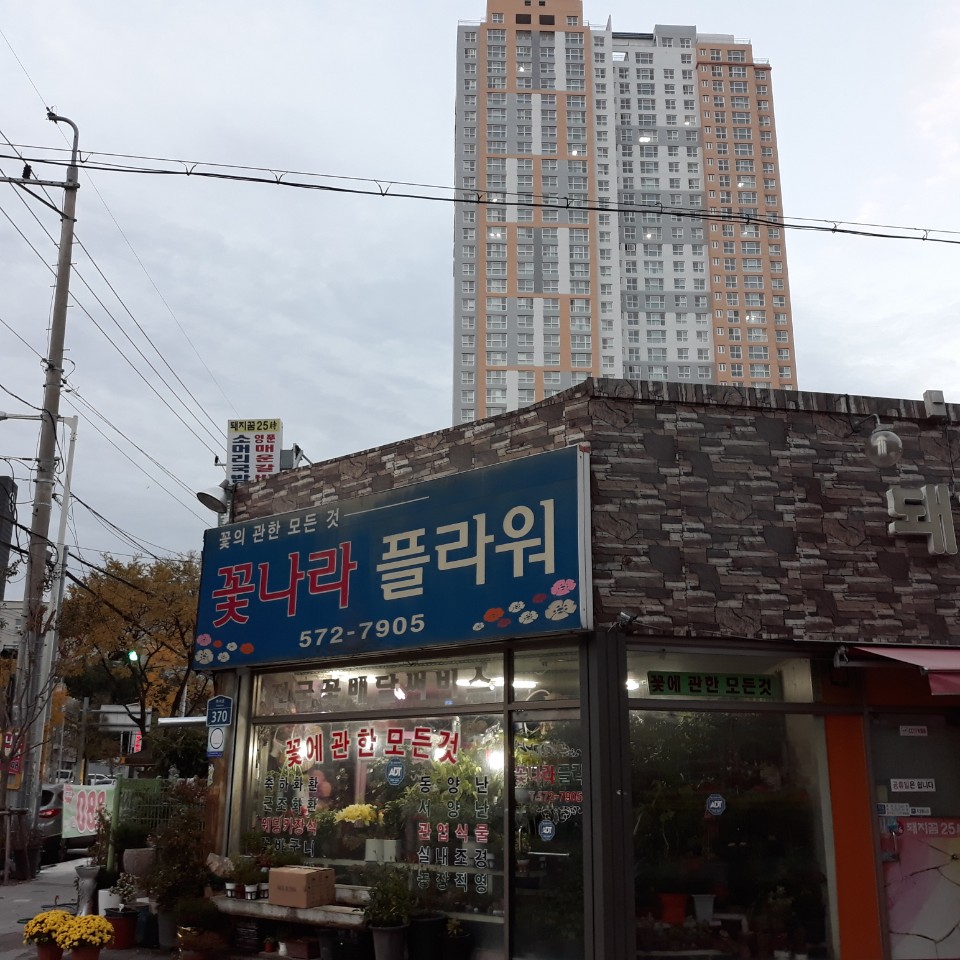 꽃나라플라워