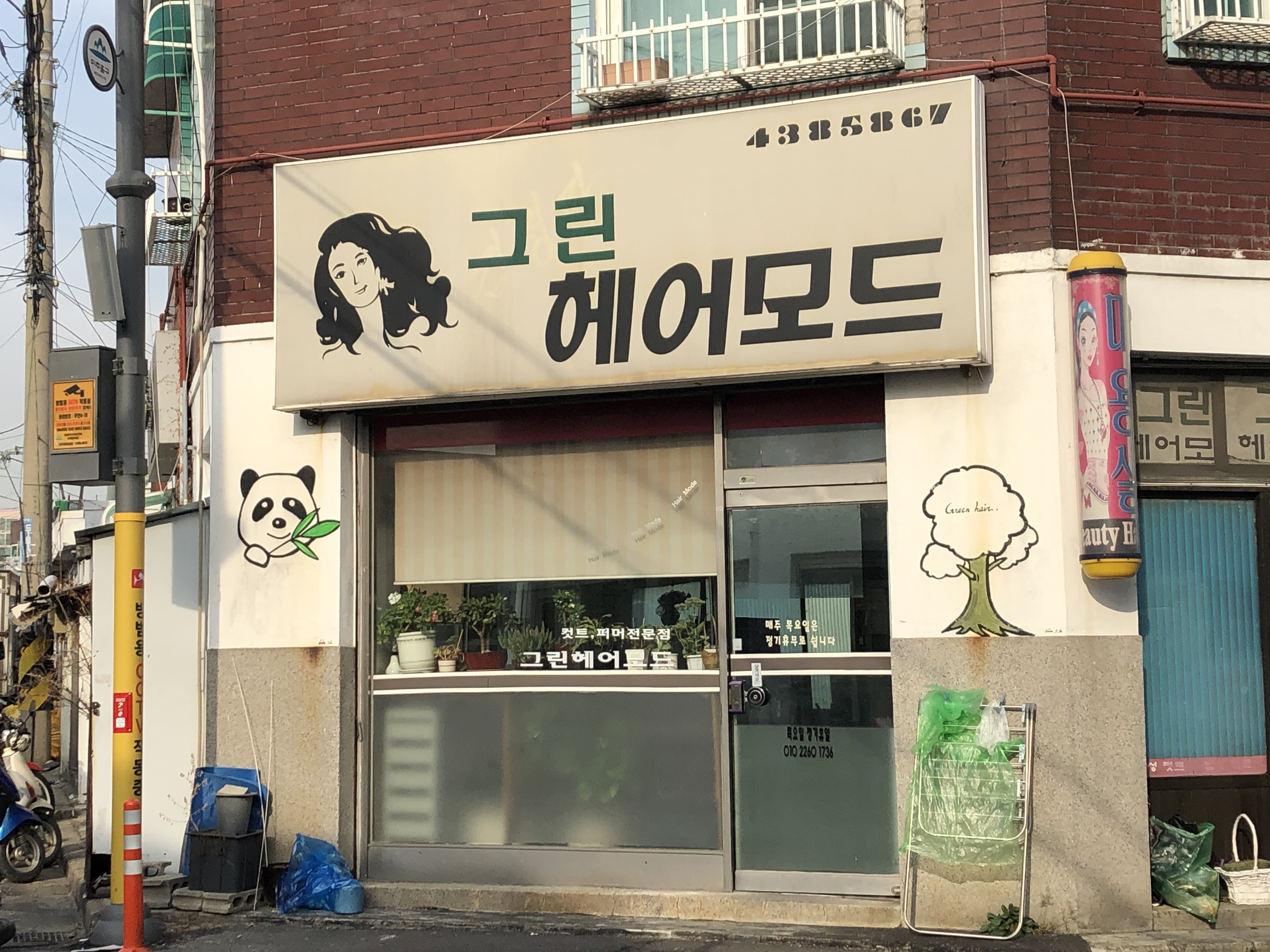 그린헤어모드