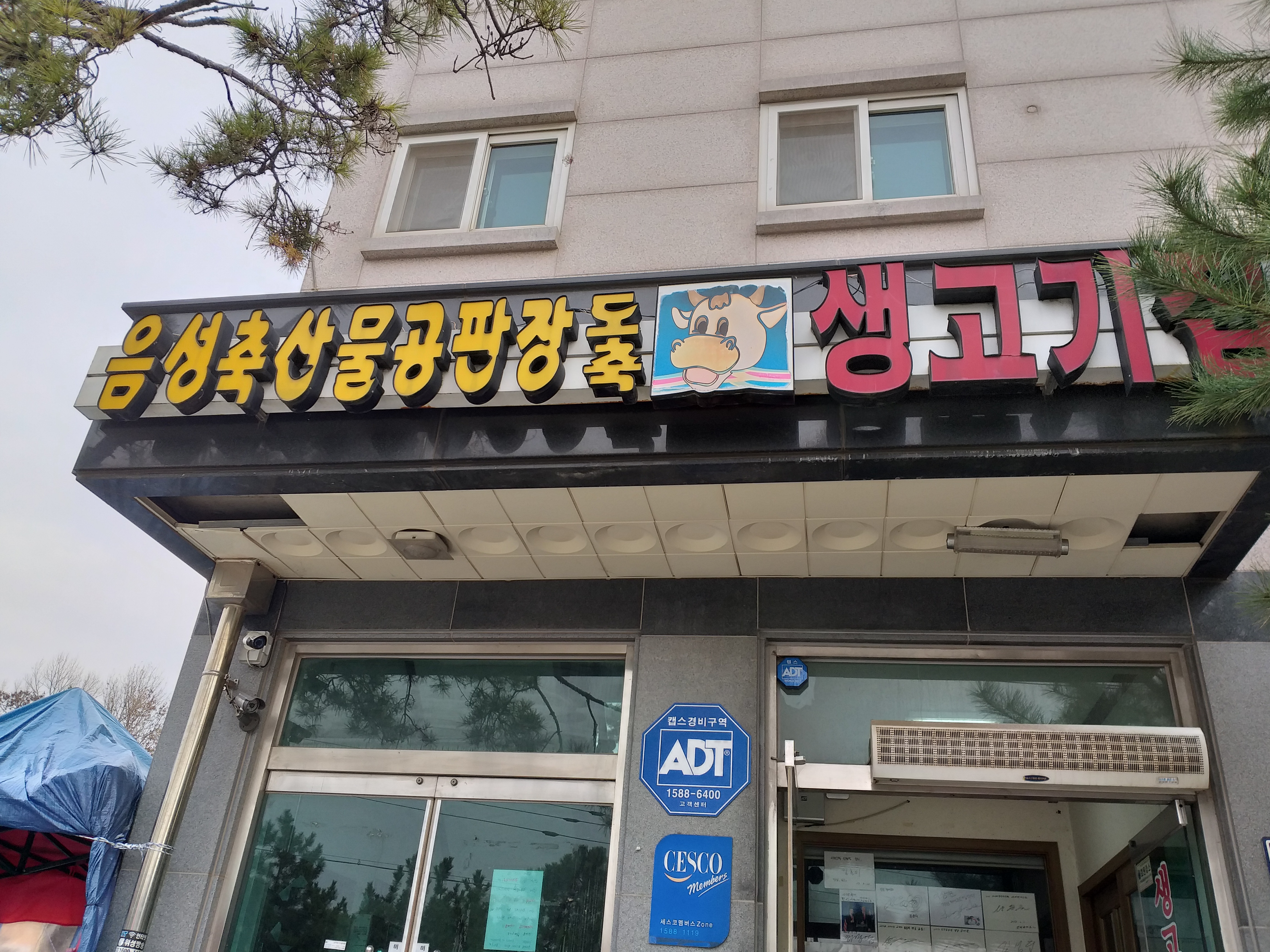 음성축산물공판장도축생고기집
