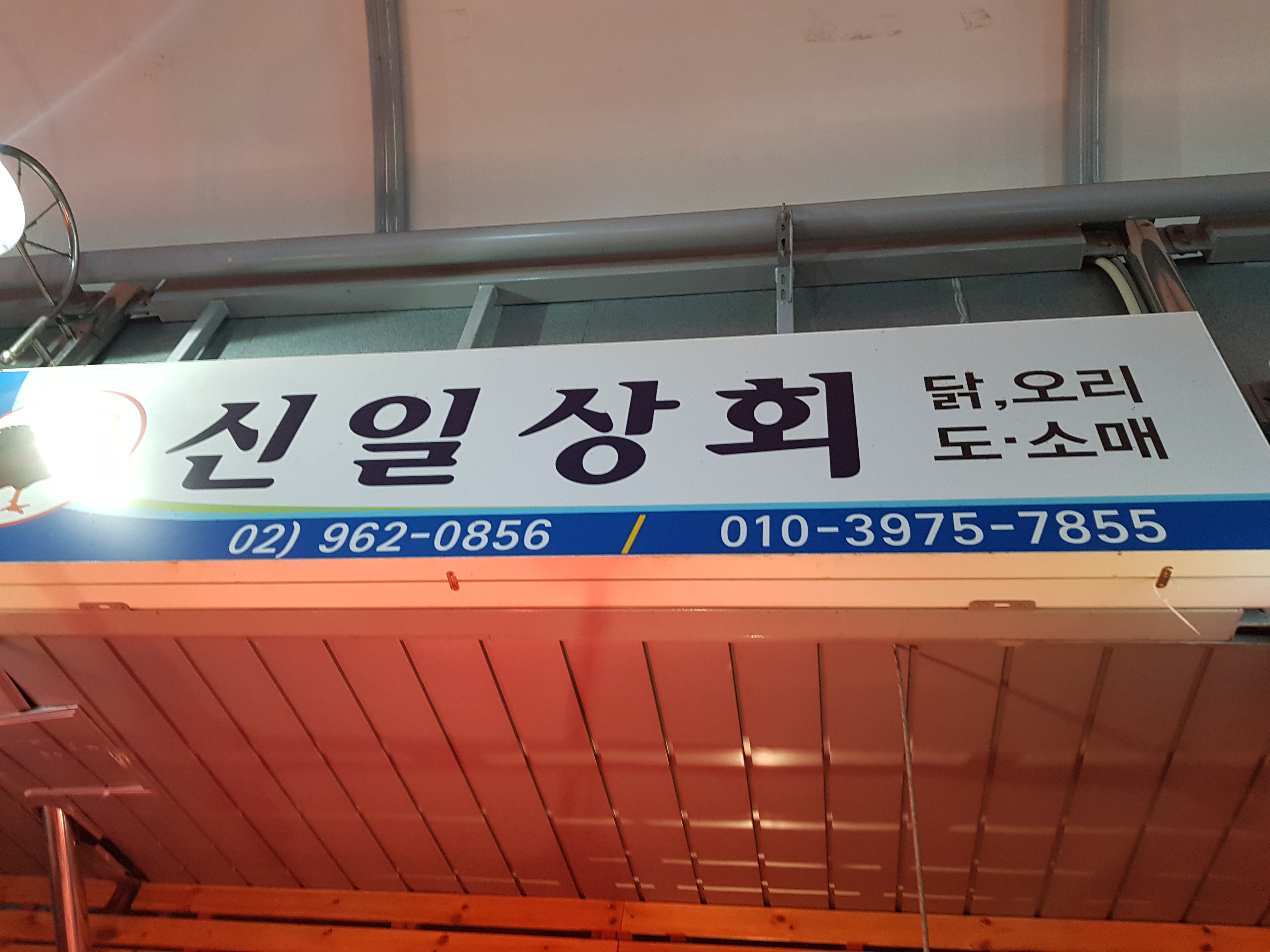 신일상회